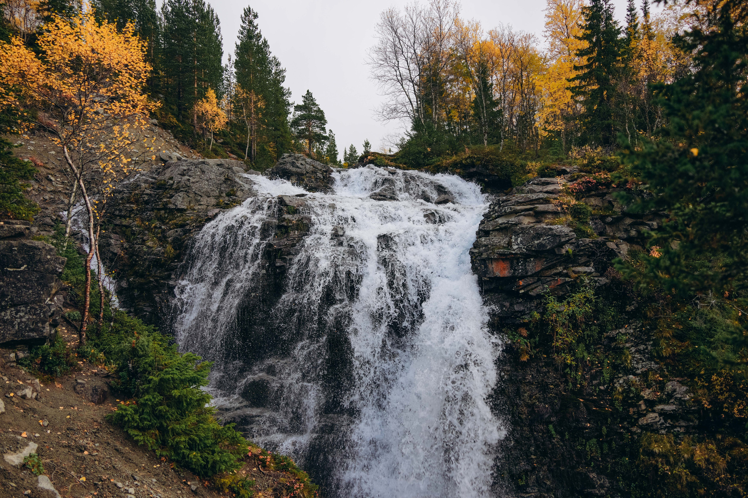 СЕВЕР. Event фотограф Степанова Александра