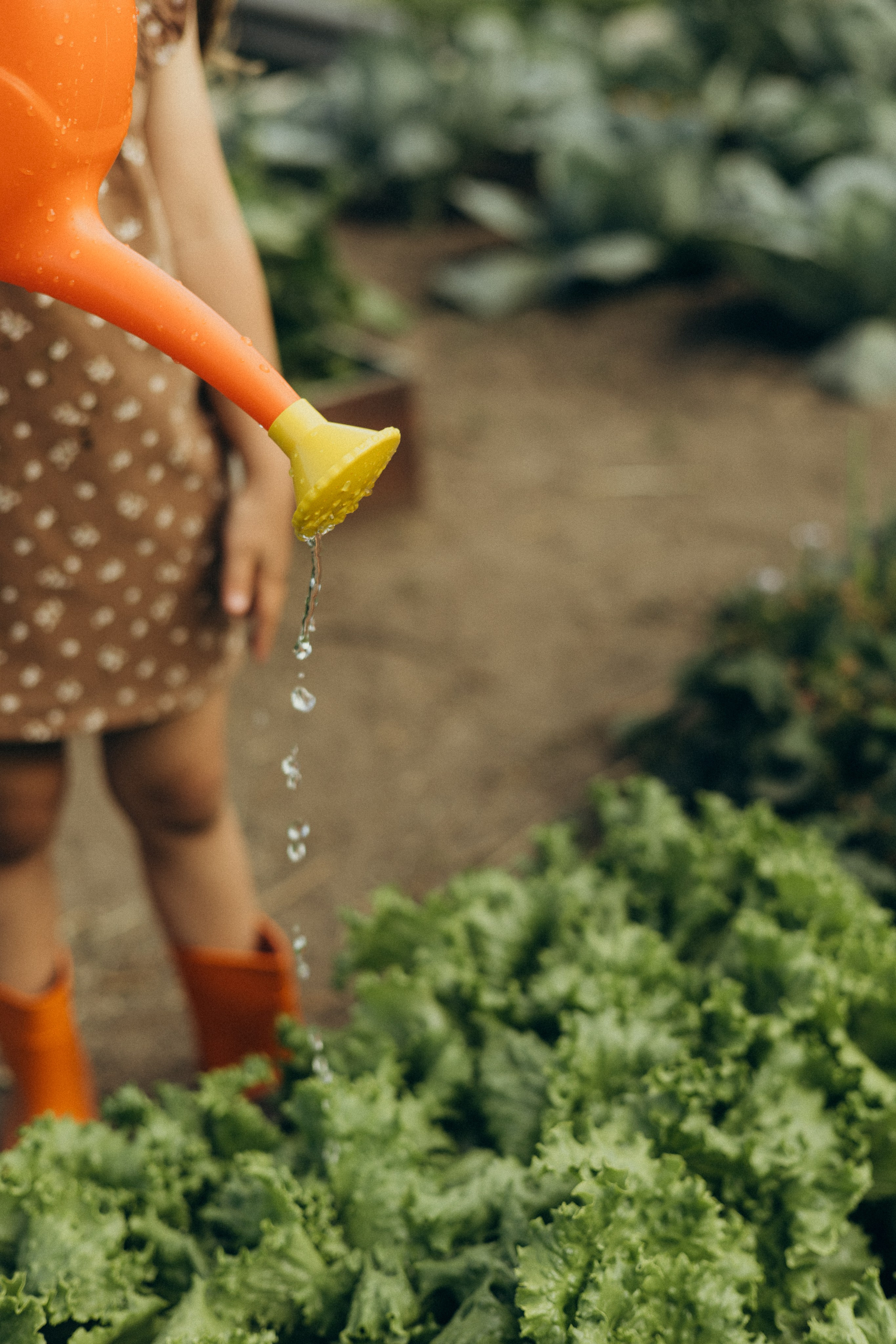 Хорошо в деревне летом…♡. Фотограф в г. Чита