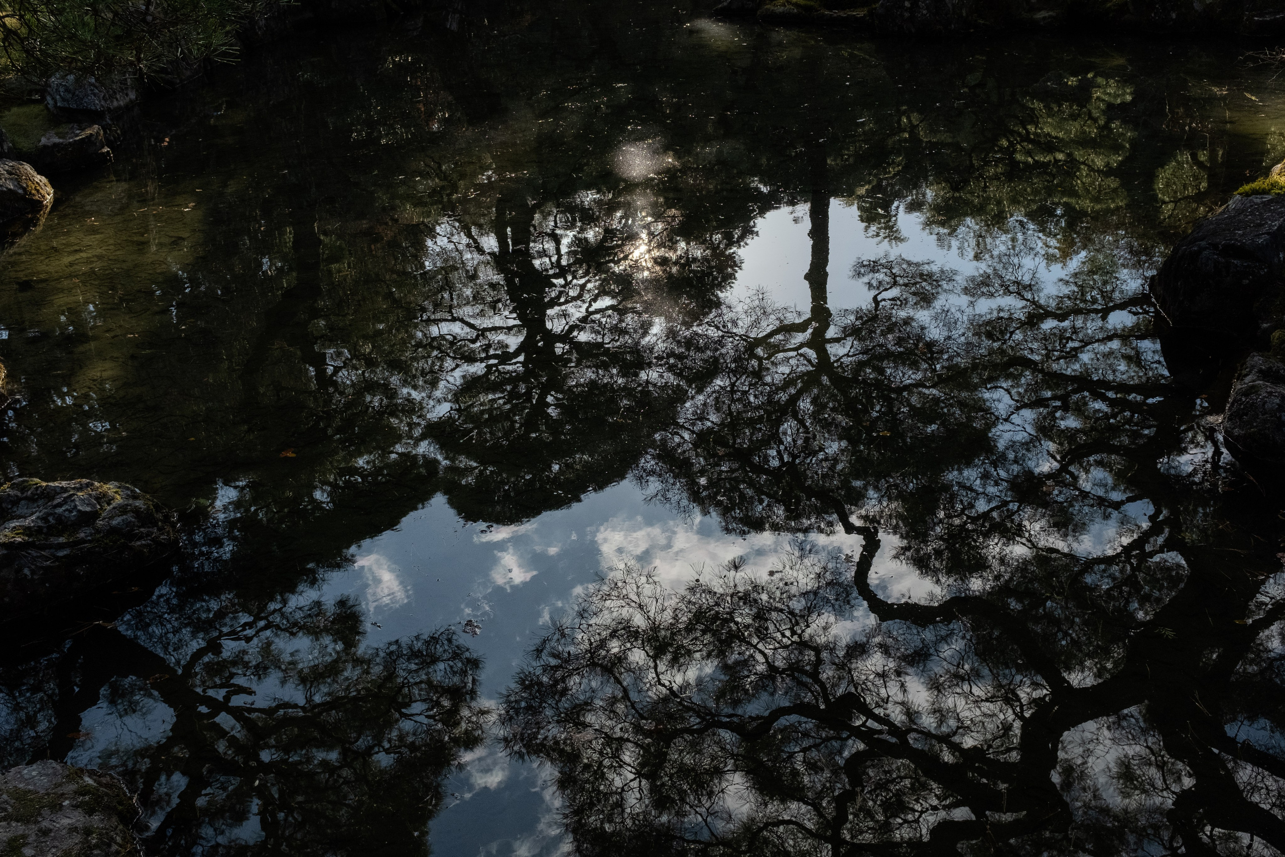 Nature. Regina Platonova