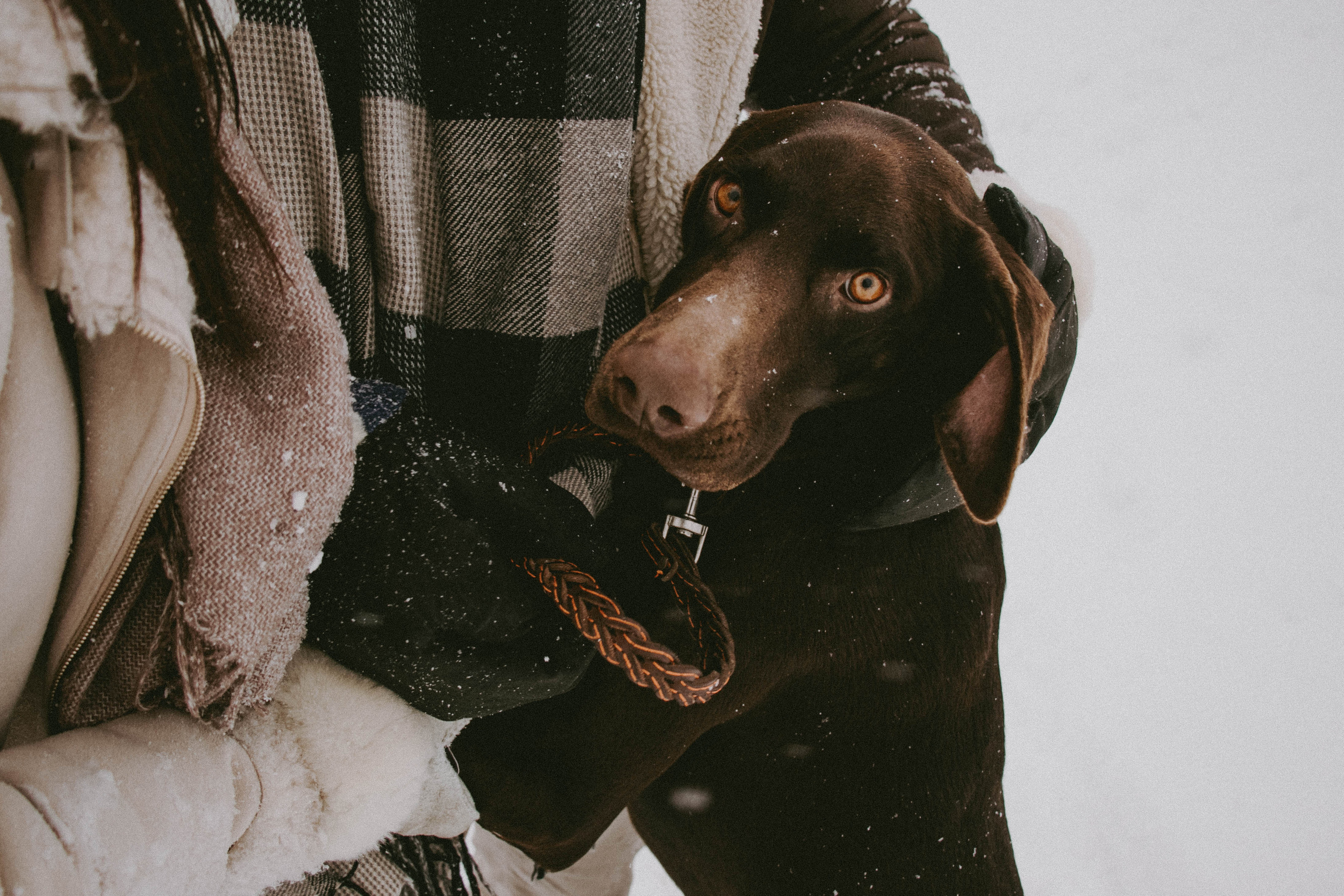 Снежная прогулка | Тимур & Светлана. Семейный и свадебный фотограф в Краснодар|Сочи|Москва| Исаева Валерия