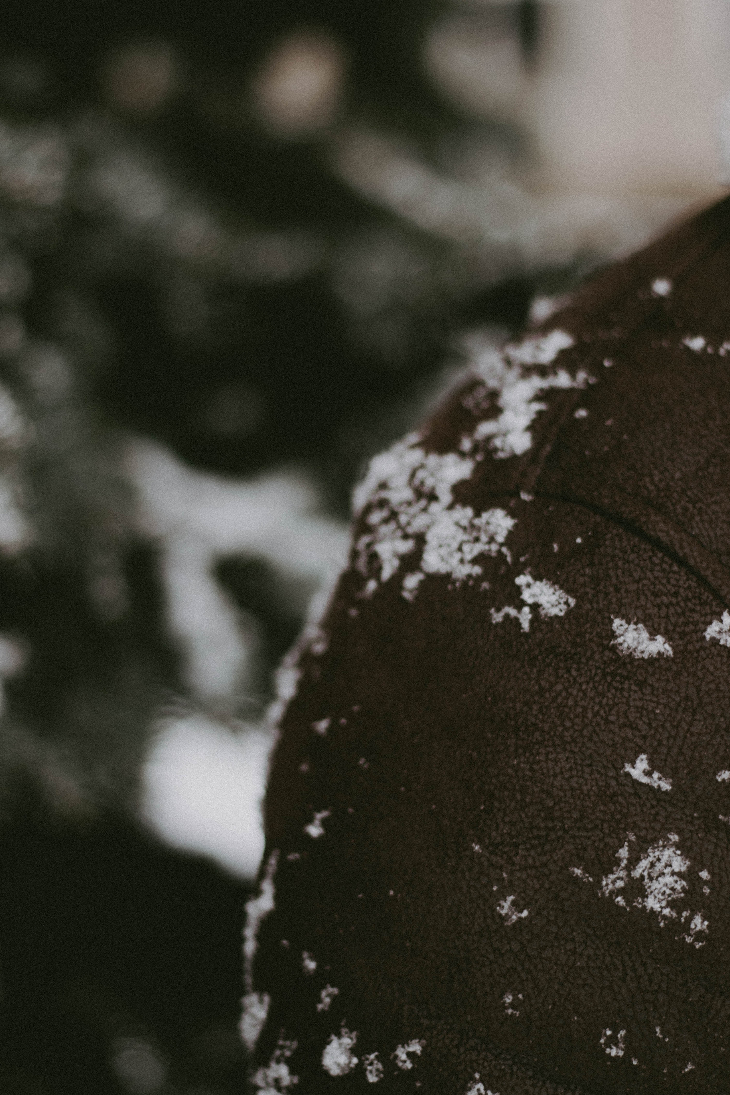 Снежная прогулка | Тимур & Светлана. Семейный и свадебный фотограф в Краснодар|Сочи|Москва| Исаева Валерия