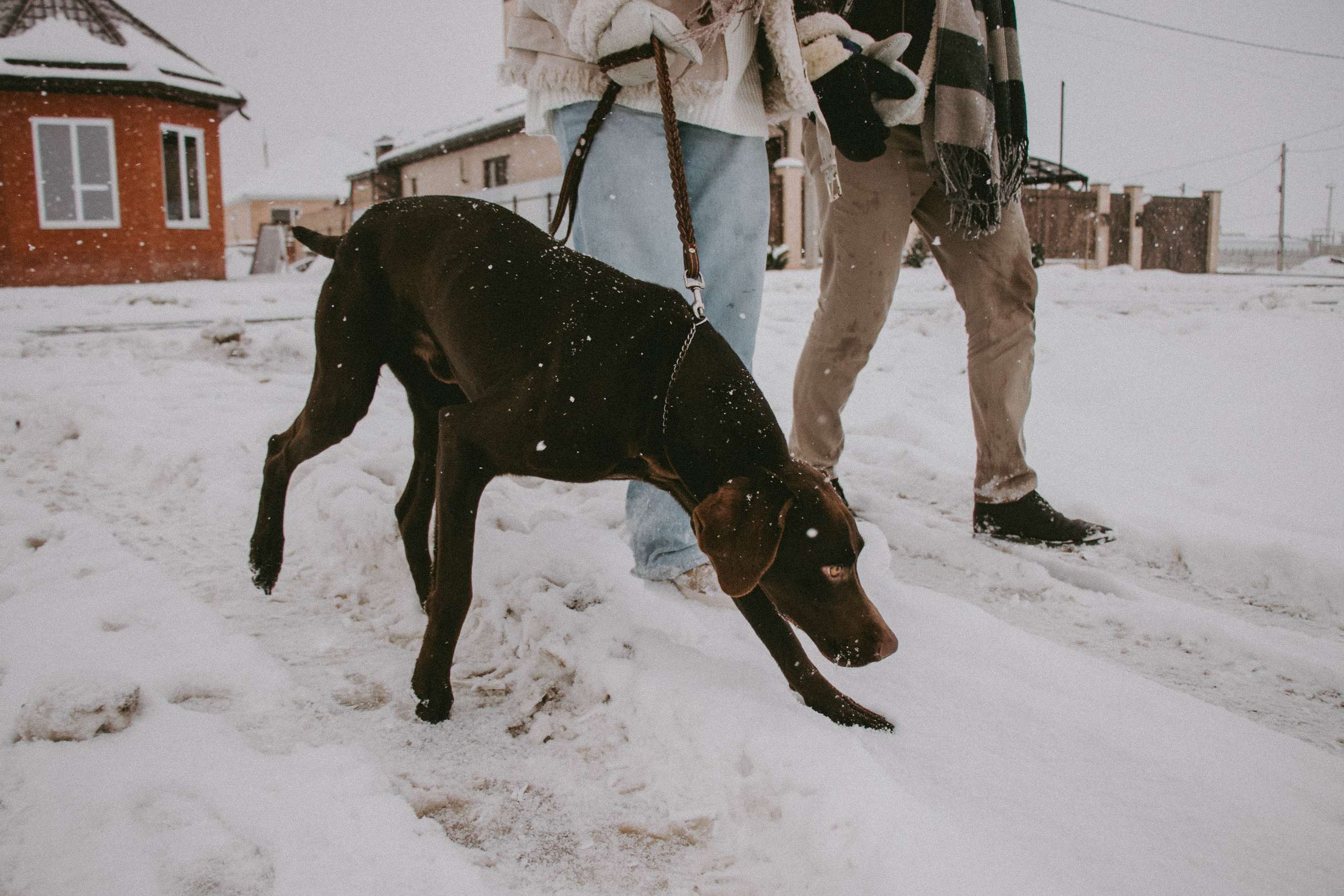 Снежная прогулка | Тимур & Светлана. Семейный и свадебный фотограф в Краснодар|Сочи|Москва| Исаева Валерия