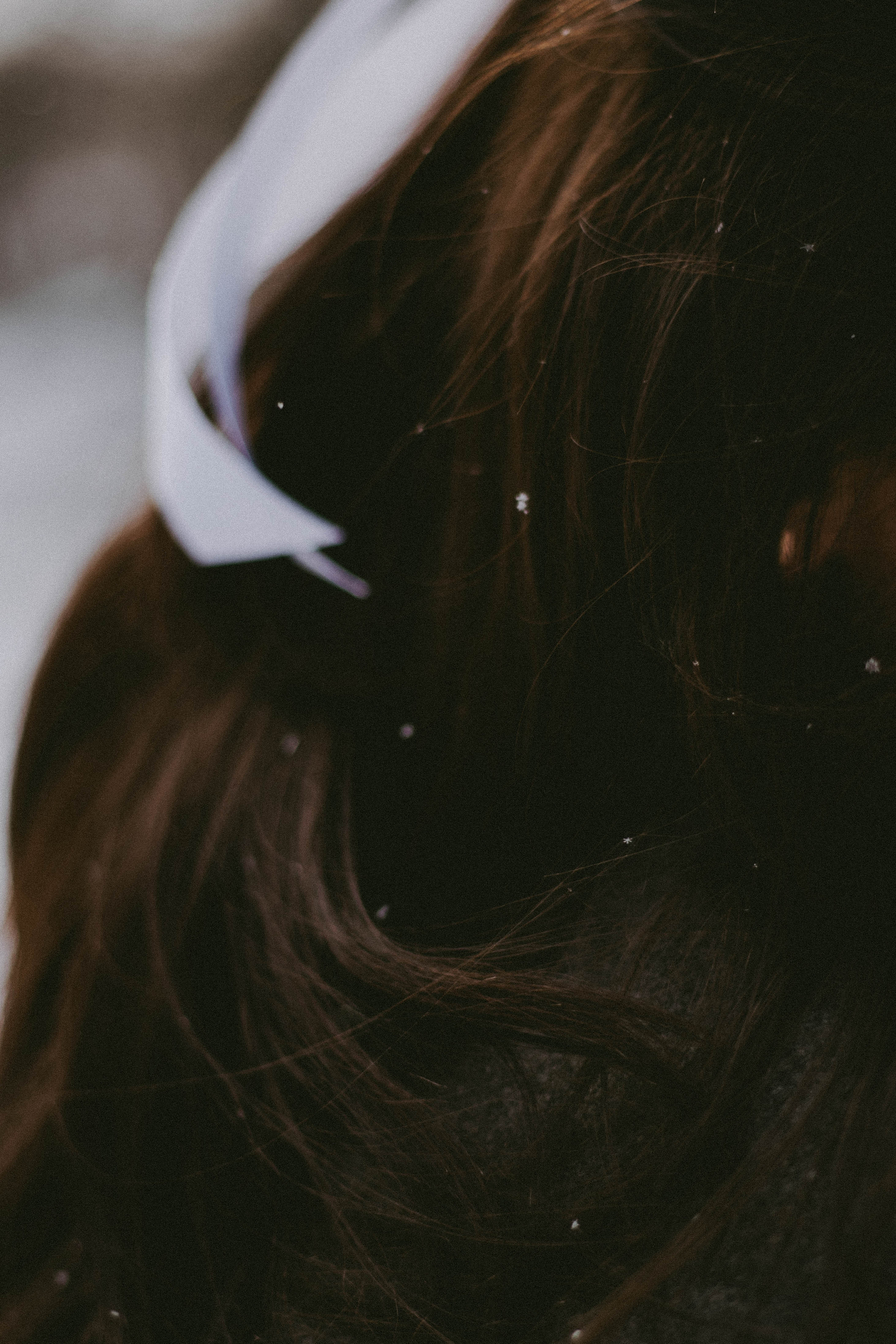 Снежная прогулка | Инна & Кристина. Семейный и свадебный фотограф в Краснодар|Сочи|Москва| Исаева Валерия