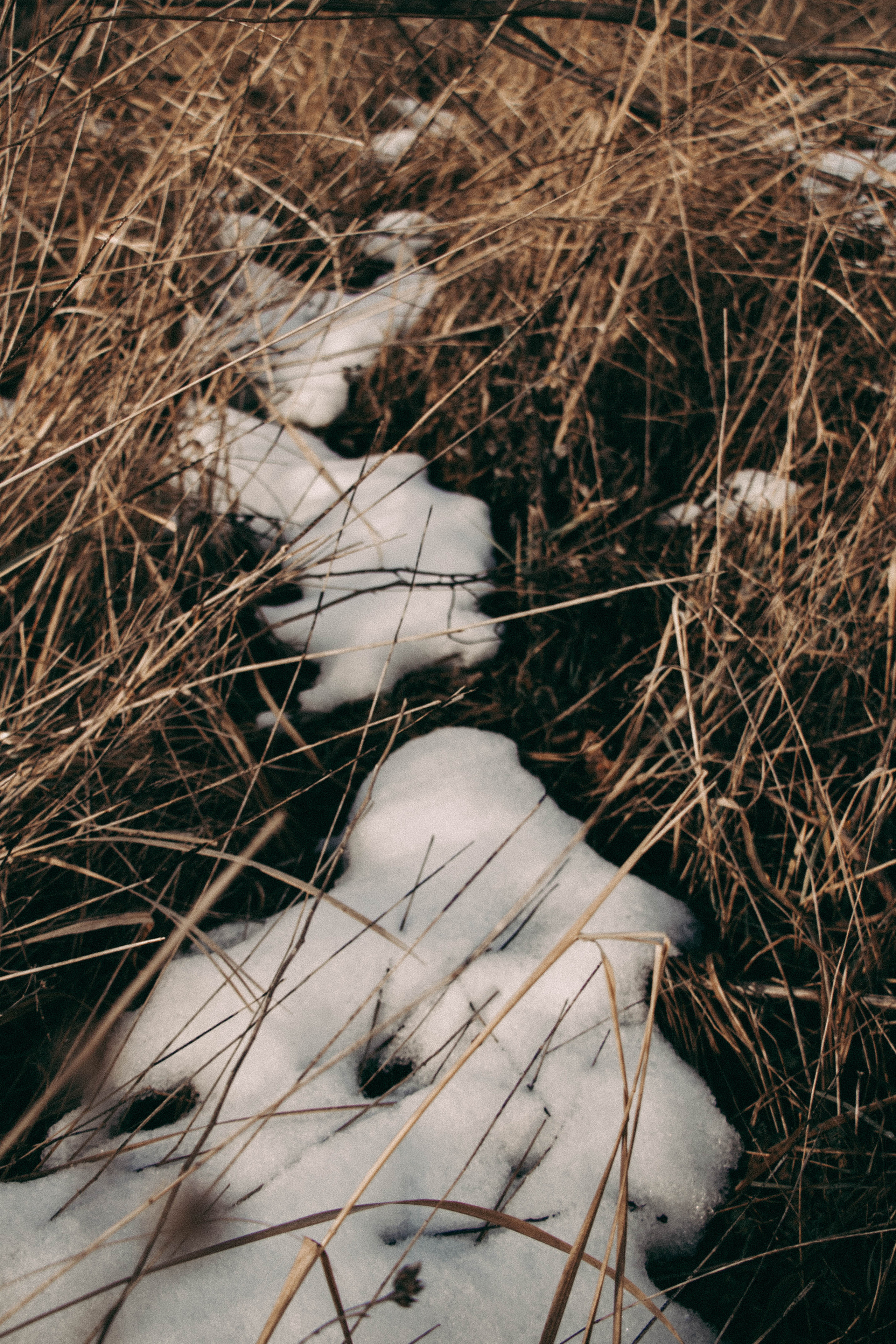 Александр & Полина | Зимняя история. Семейный и свадебный фотограф в Краснодар|Сочи|Москва| Исаева Валерия