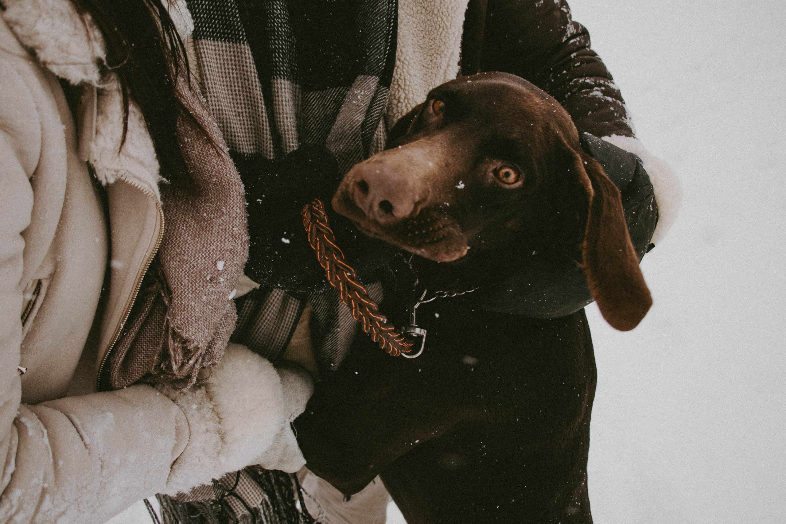 Снежная прогулка | Тимур & Светлана. Семейный и свадебный фотограф в Краснодар|Сочи|Москва| Исаева Валерия