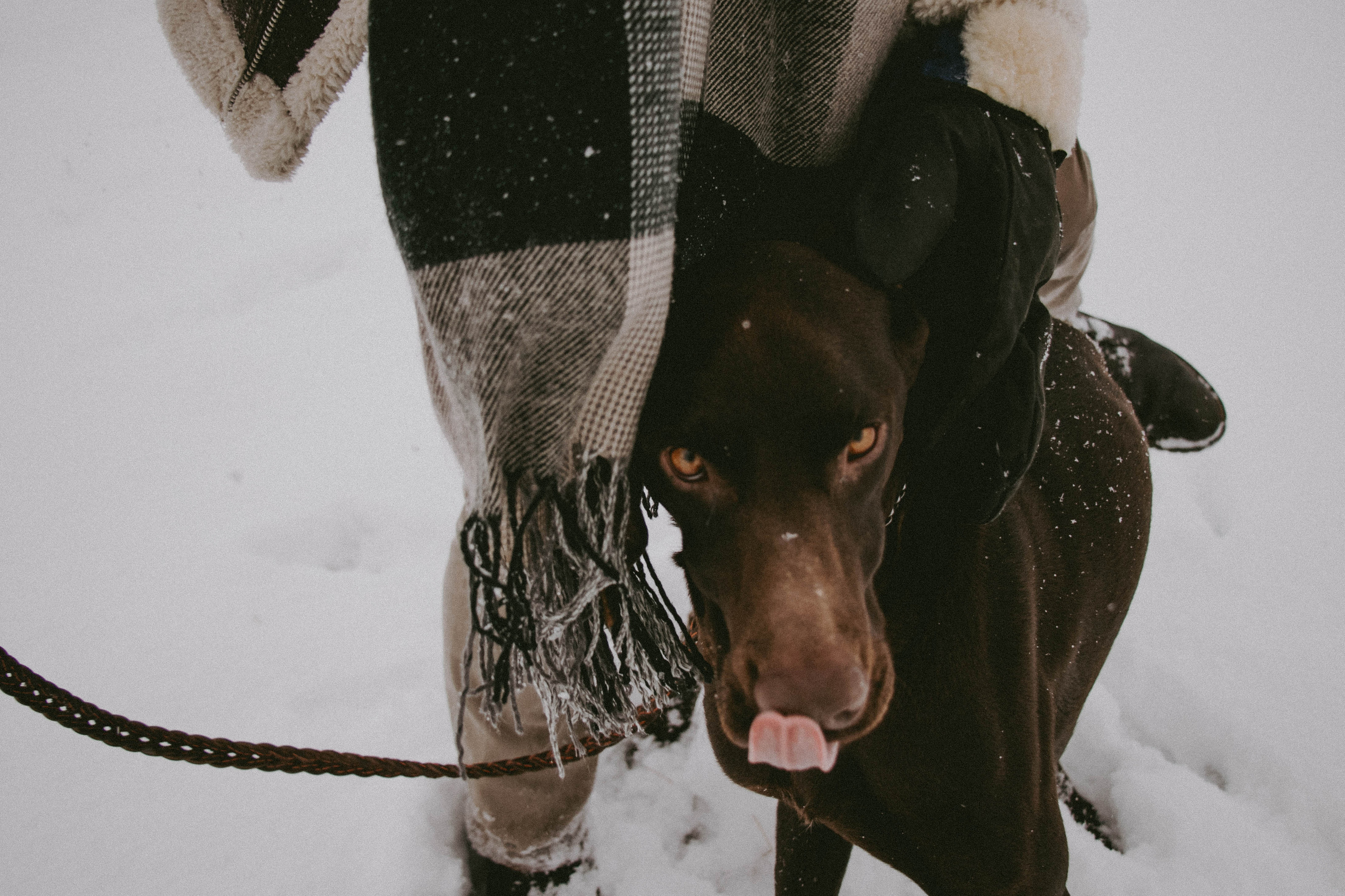 Снежная прогулка | Тимур & Светлана. Семейный и свадебный фотограф в Краснодар|Сочи|Москва| Исаева Валерия