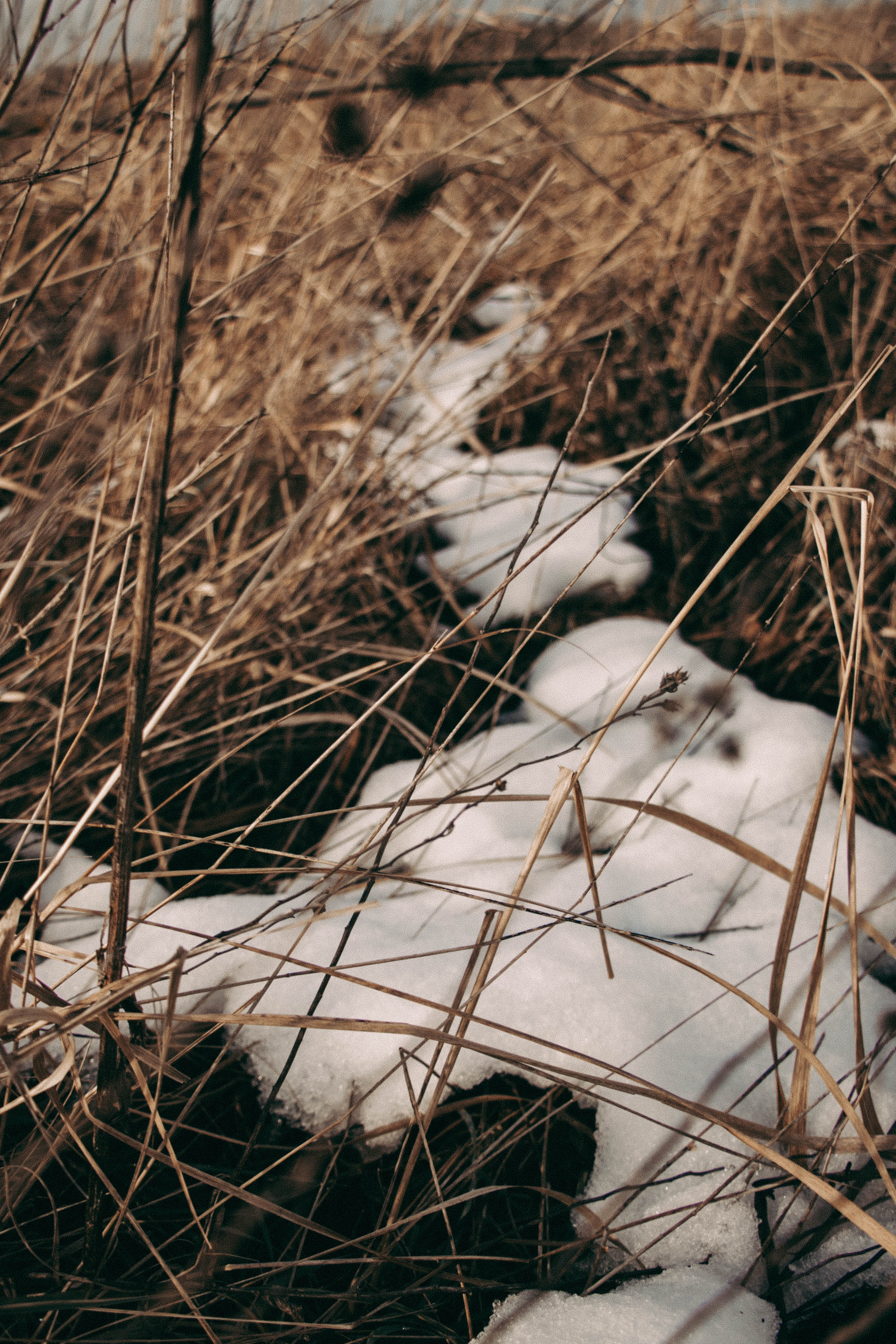 Александр & Полина | Зимняя история. Семейный и свадебный фотограф в Краснодар|Сочи|Москва| Исаева Валерия