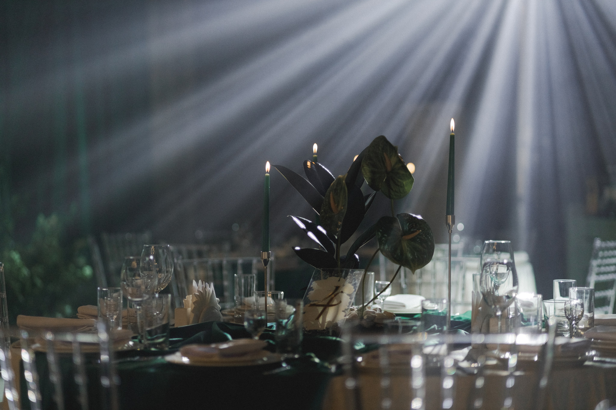 Artem|Dana. Фотограф Астана. Индивидуальные, парные и семейные фотосессии