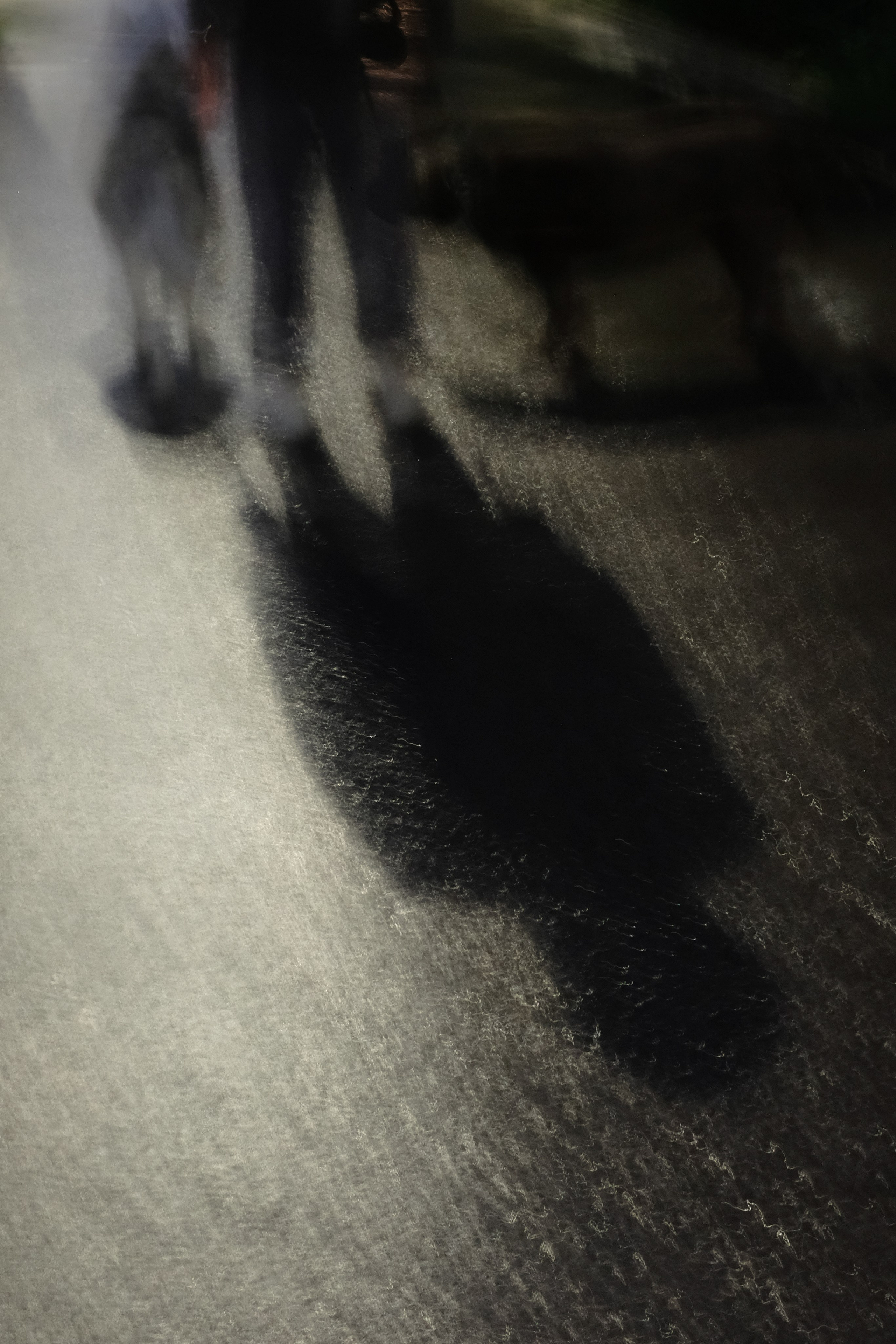 Walking through damp and darkness. Фотограф Антонина Гудкова