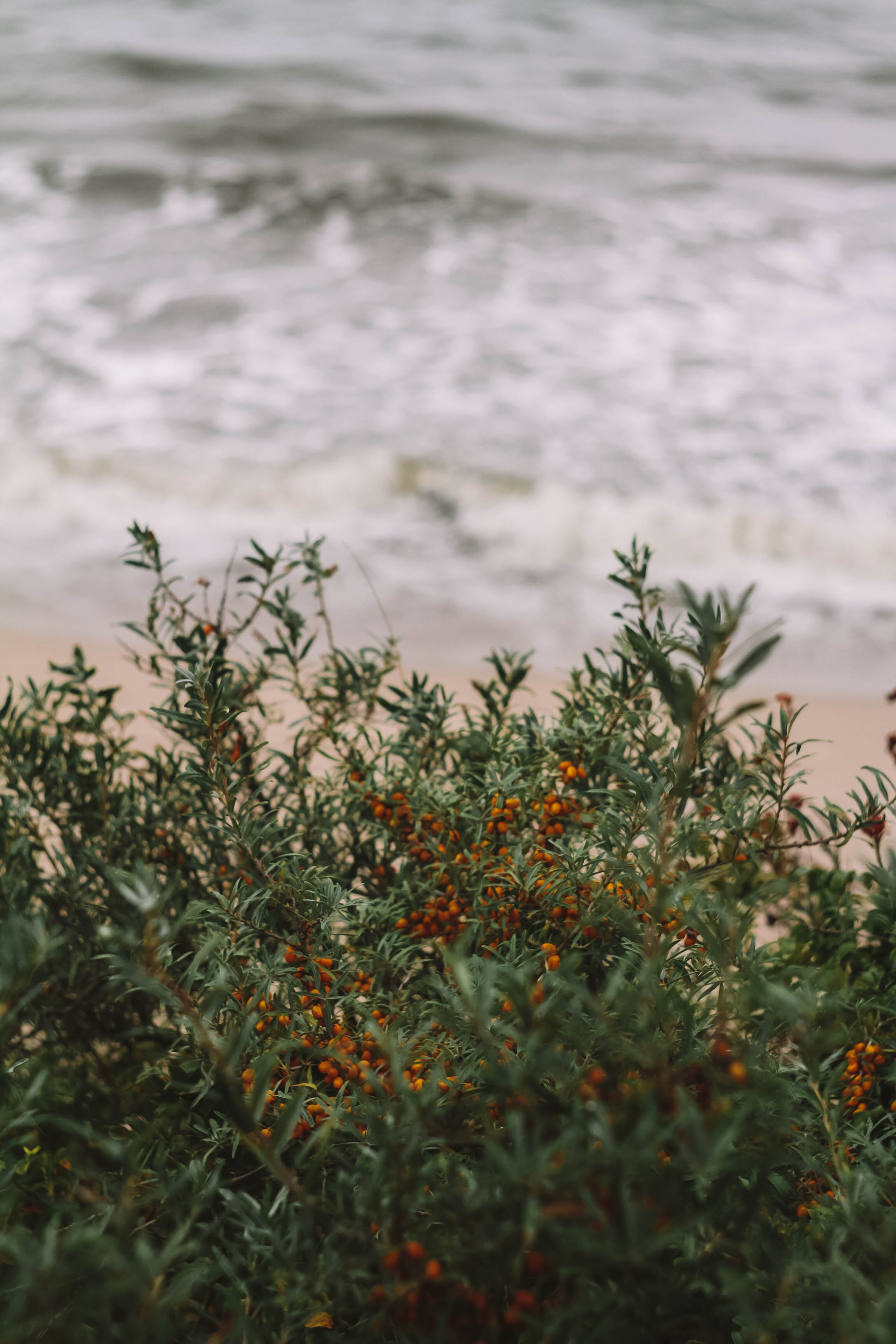 Калининград