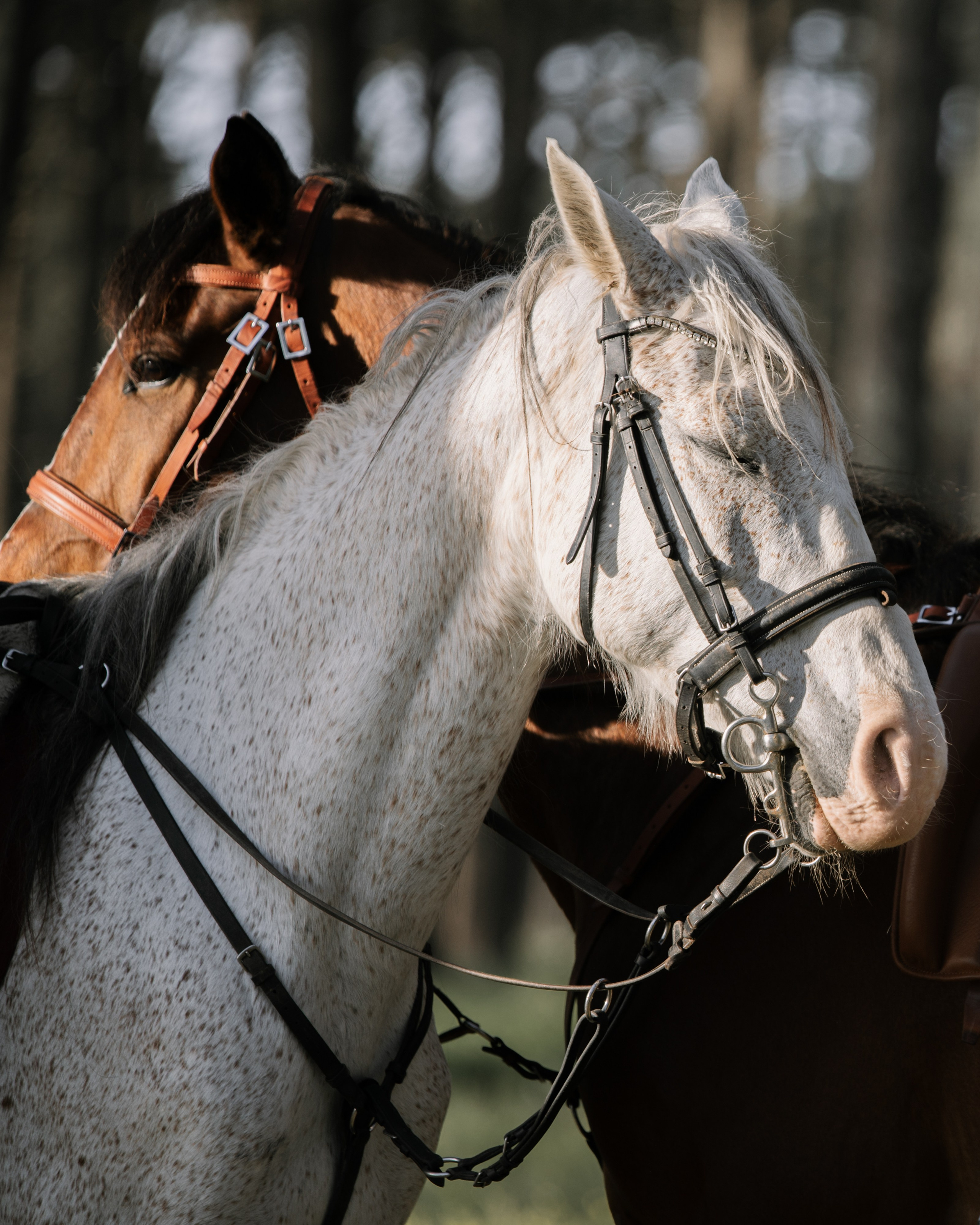 MAURA. Anastasiia Antoniuk portrait, family and couple photographer, Portugal