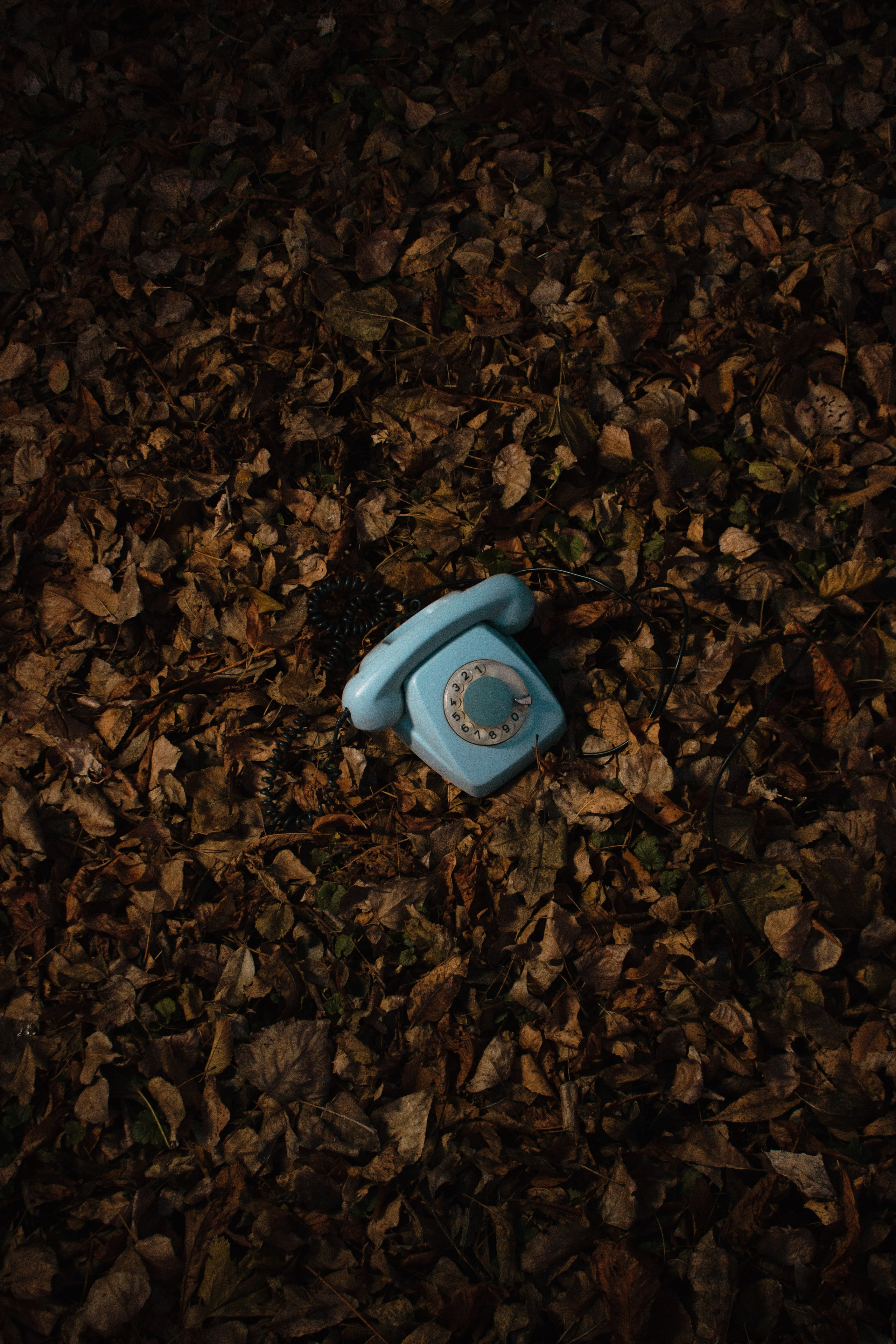 Софа и Соня, 2021. Портретный фотограф в Ростове-на-Дону