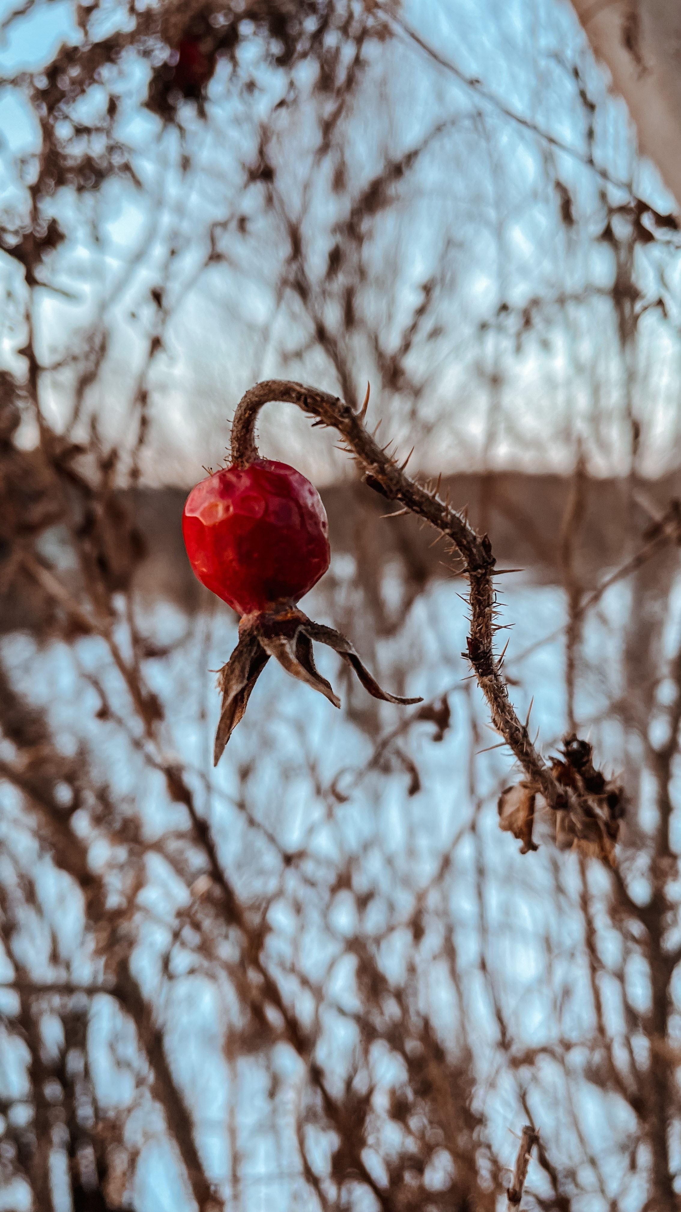 Пейзаж. Фотограф Олеся Шипихина г. Москва
