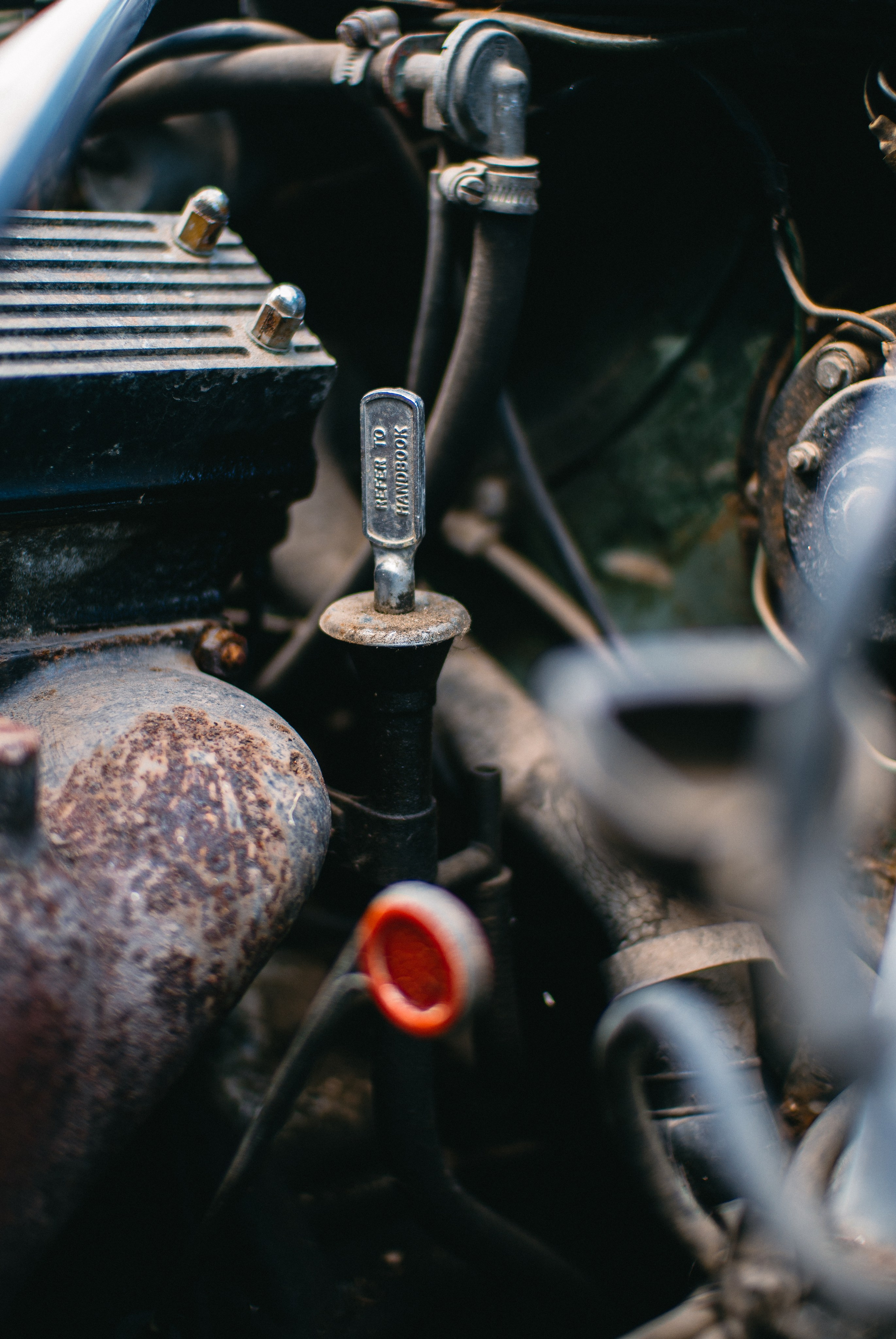 Open season 2025. Жуков Илья  свадебный фотограф в Москве