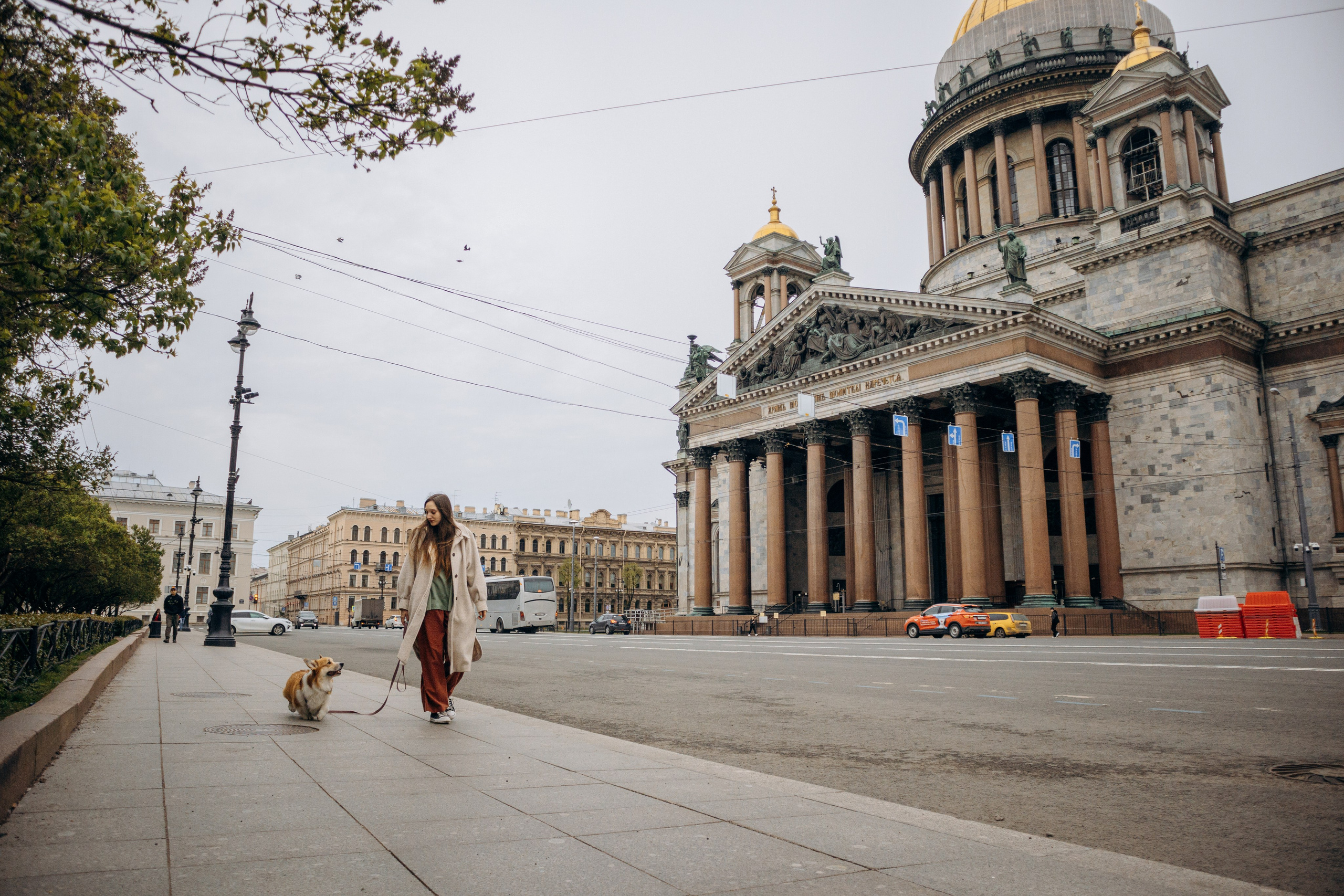 Фотограф-анималист в Санкт-Петербурге