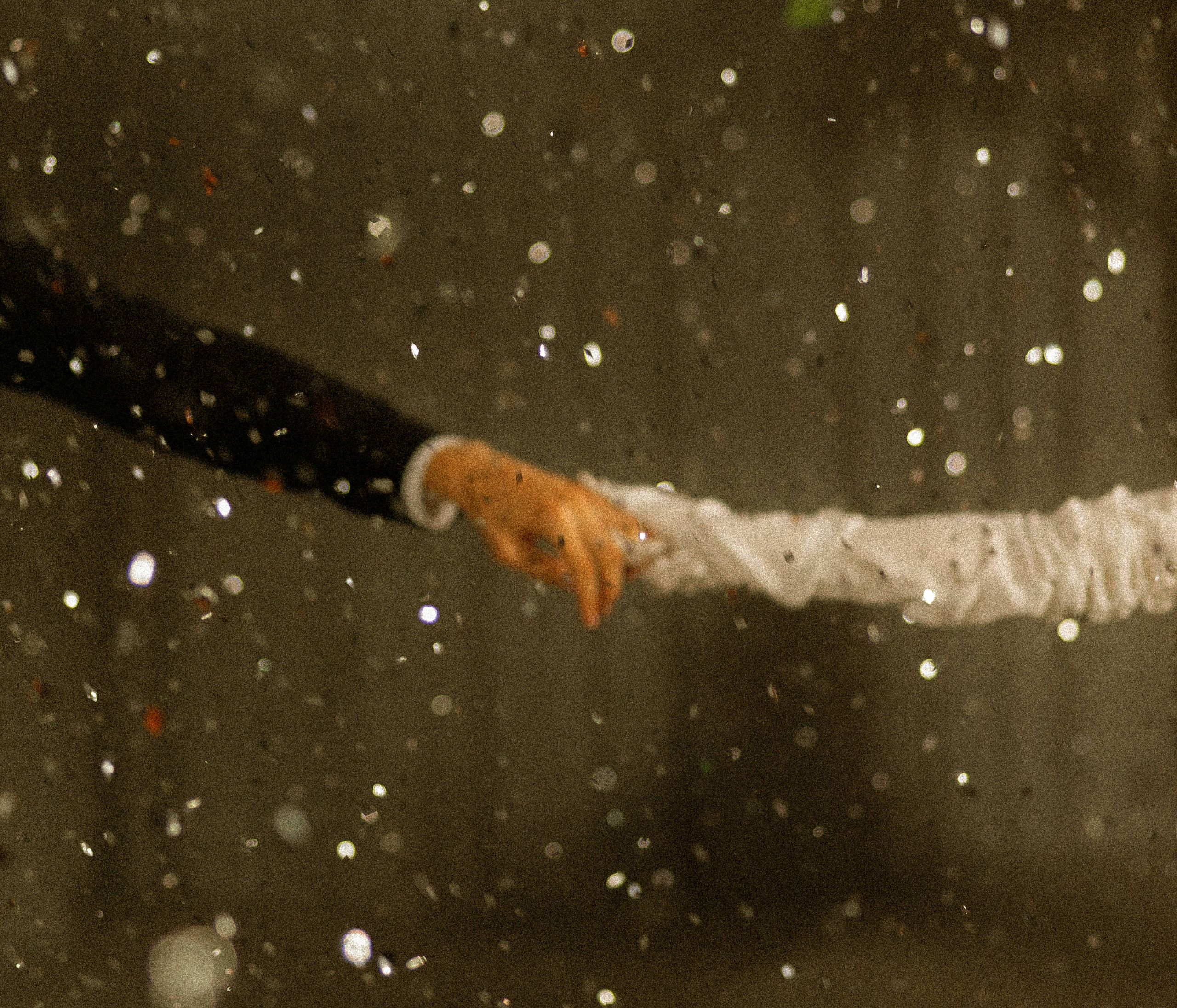 Марина & Григорий. Yura Rush Свадебный фотограф Тюмень