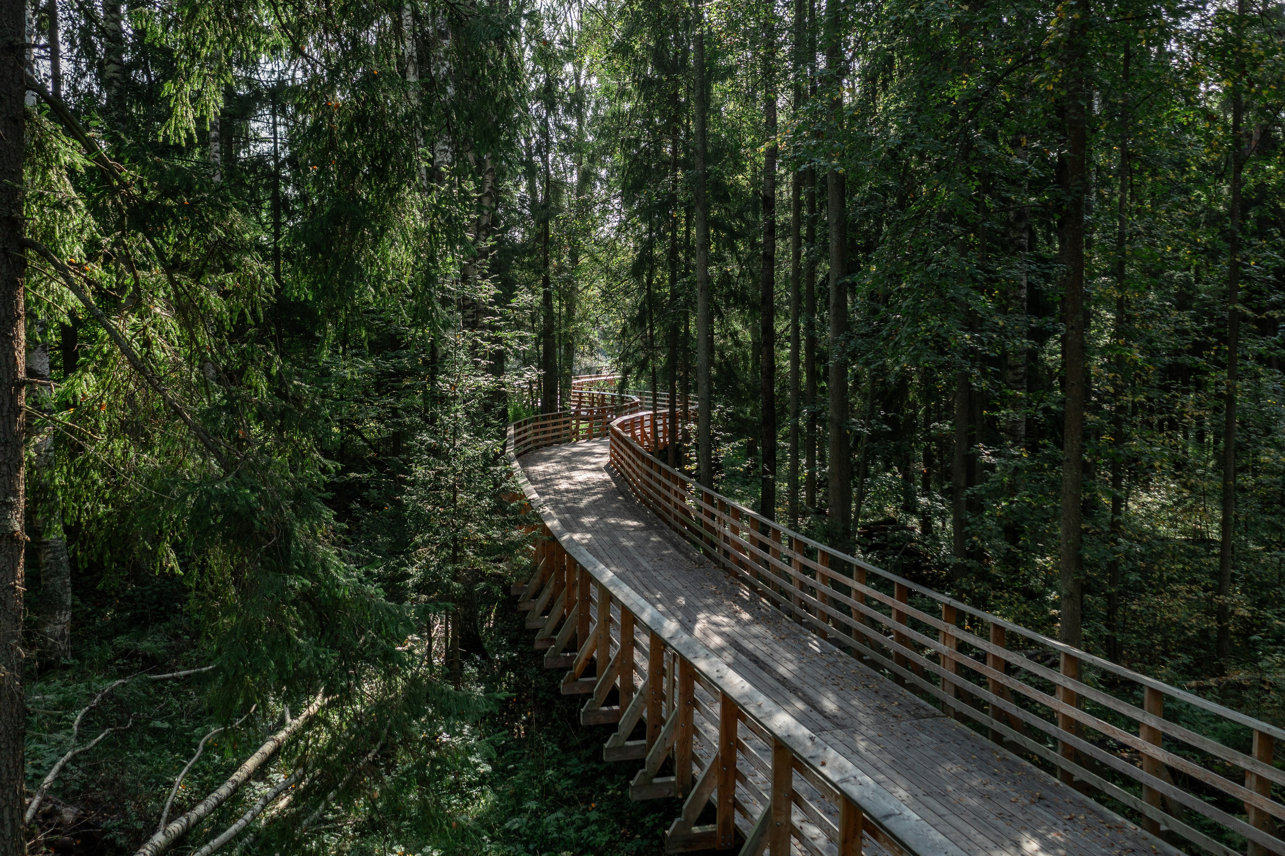 VELO1. Артамонов Александр | Архитектурный и ландшафтный фотограф