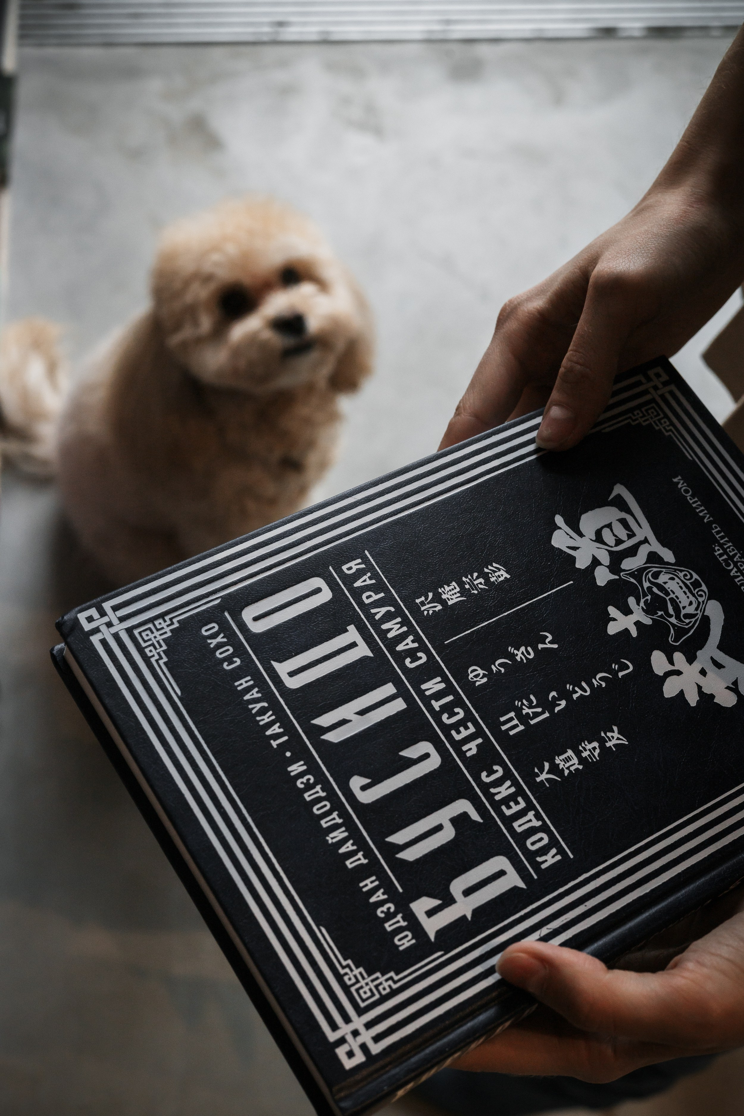 Алина — прогулка