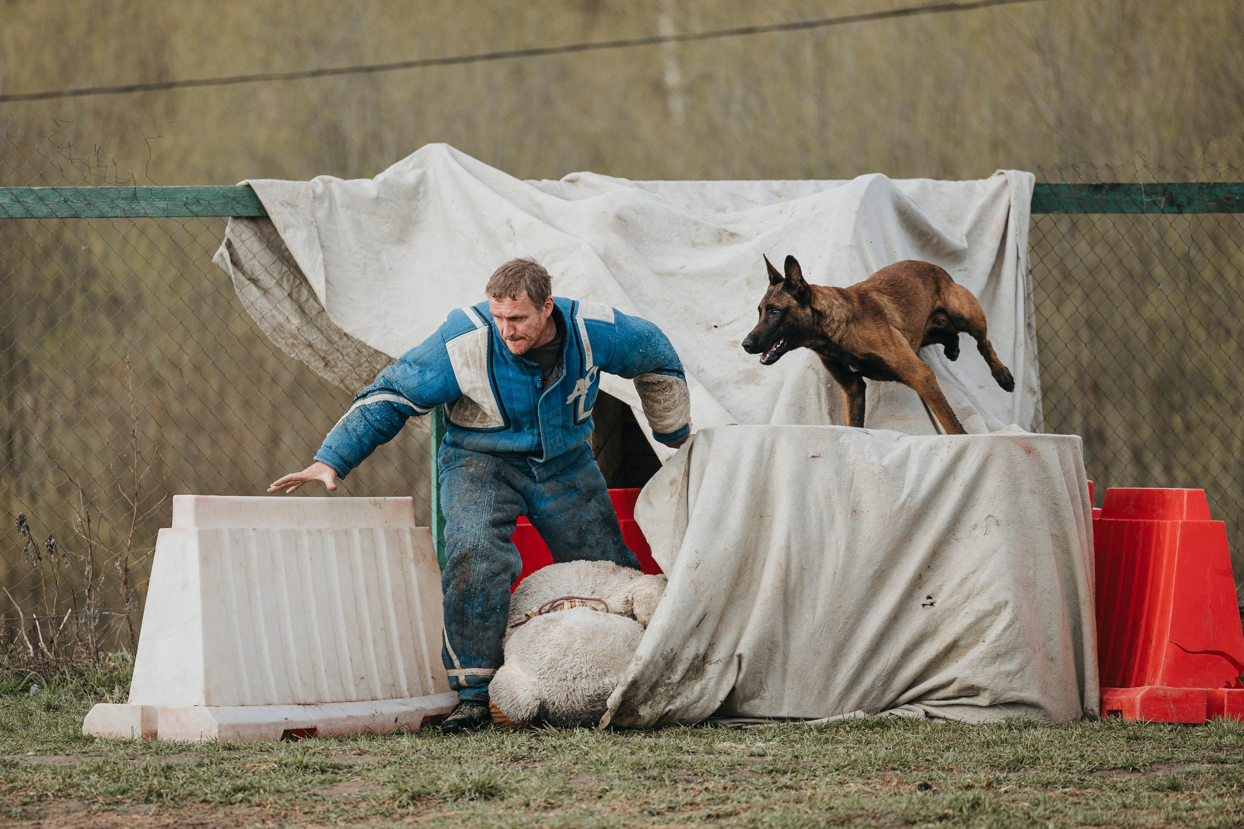09.05.25 Вологда соревнования. Фотограф-анималист Анна Маринич