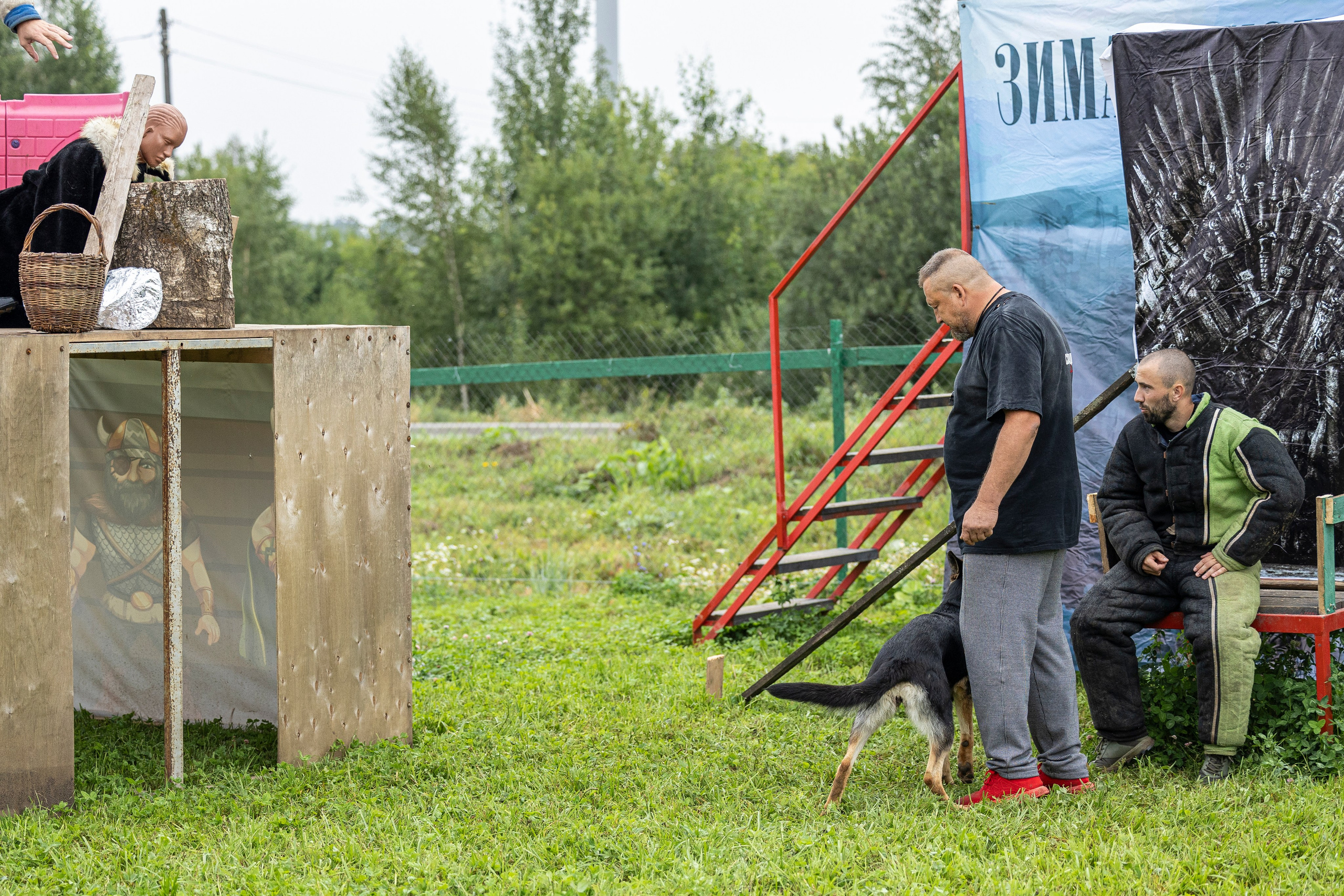 Соревнования по Мондьорингу г. Вологда 10-11.08.2024. Фотограф-анималист Анна Маринич