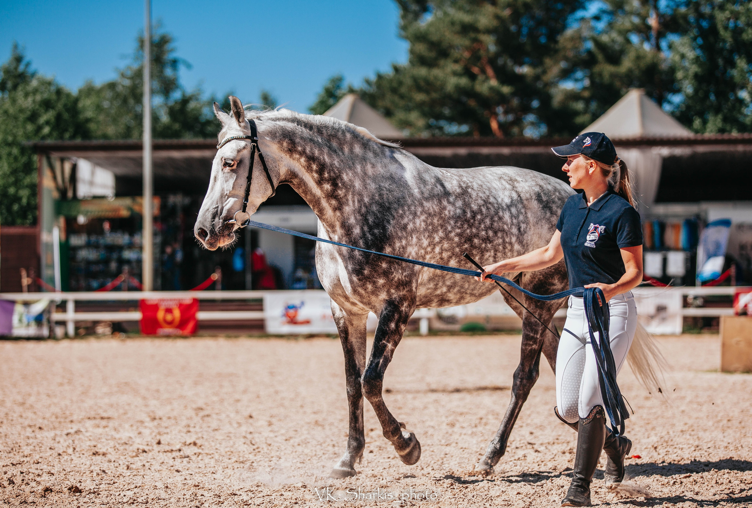 Лошади. Главная