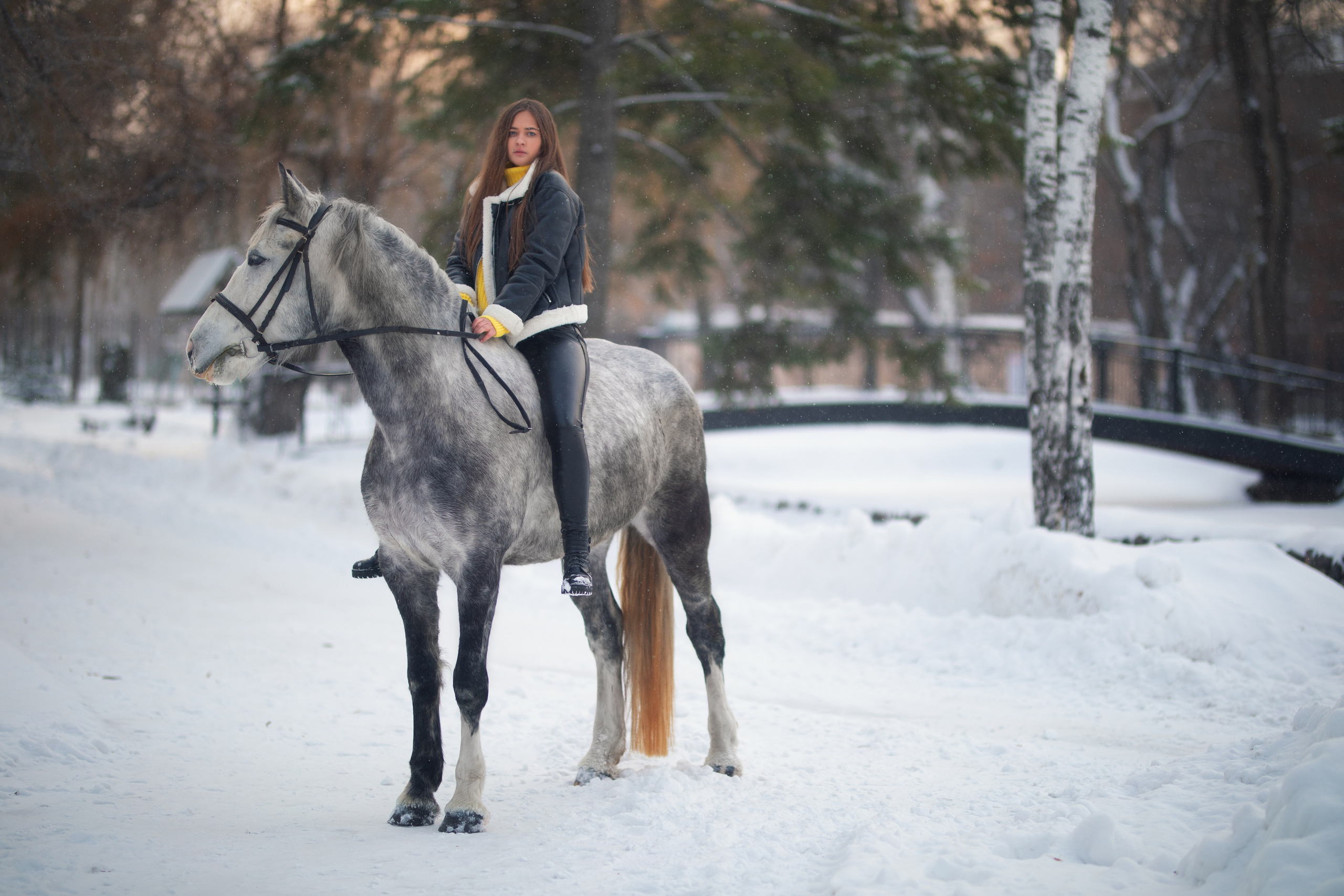 Зимняя съемка с Ольгой с лошадью в формате для «себя»