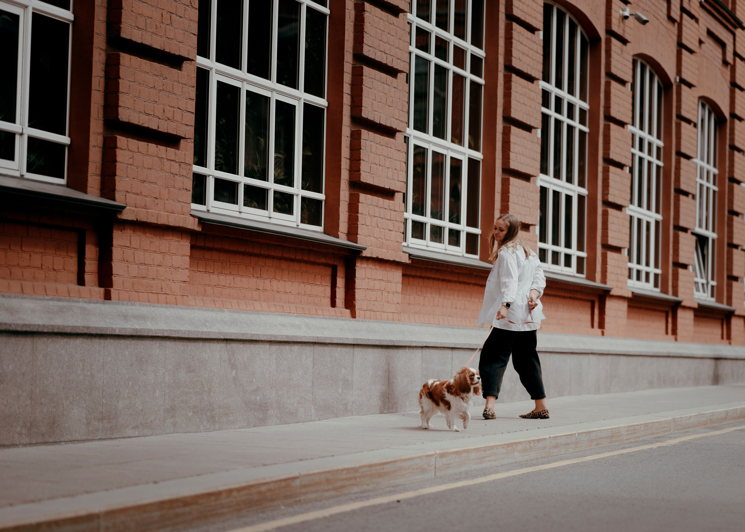 Дольче. Фотограф- анималист Александра Матвеева