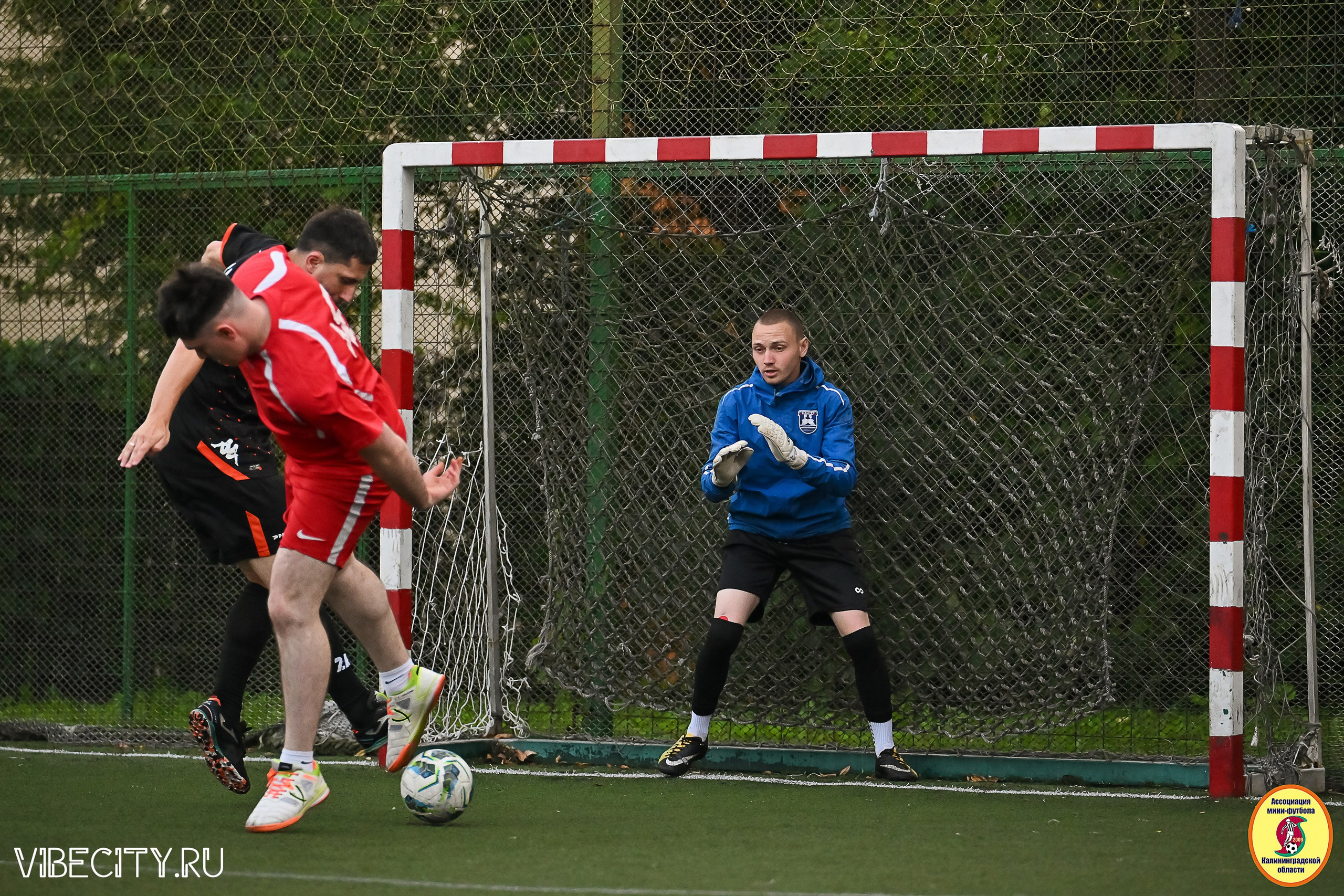 ИГРЫ ПЛЕЙ-ОФФ ПЕРВОГО ДИВИЗИОНА МИНИ-ФУТБОЛЬНОЙ ЛИГИ. VIBECITY.RU Вайб Сити Ру Фоторепортажи Фотоотчеты Калининград