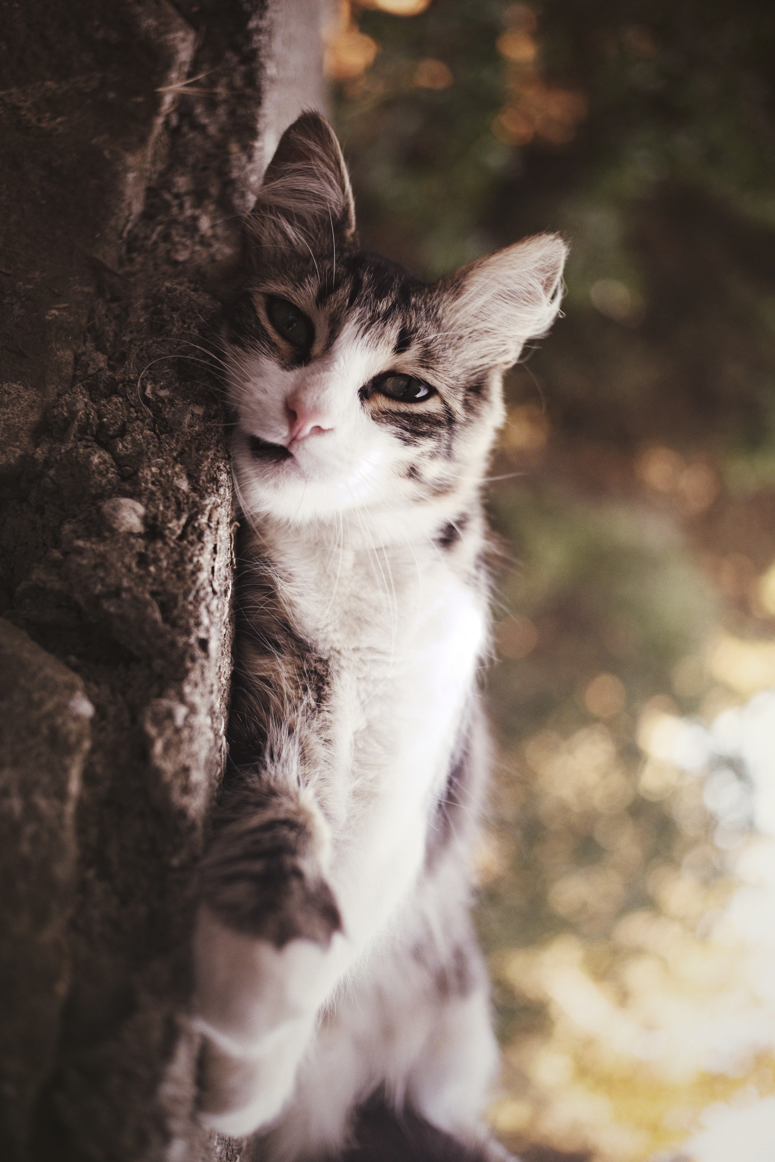 Природа. Kunchiy_