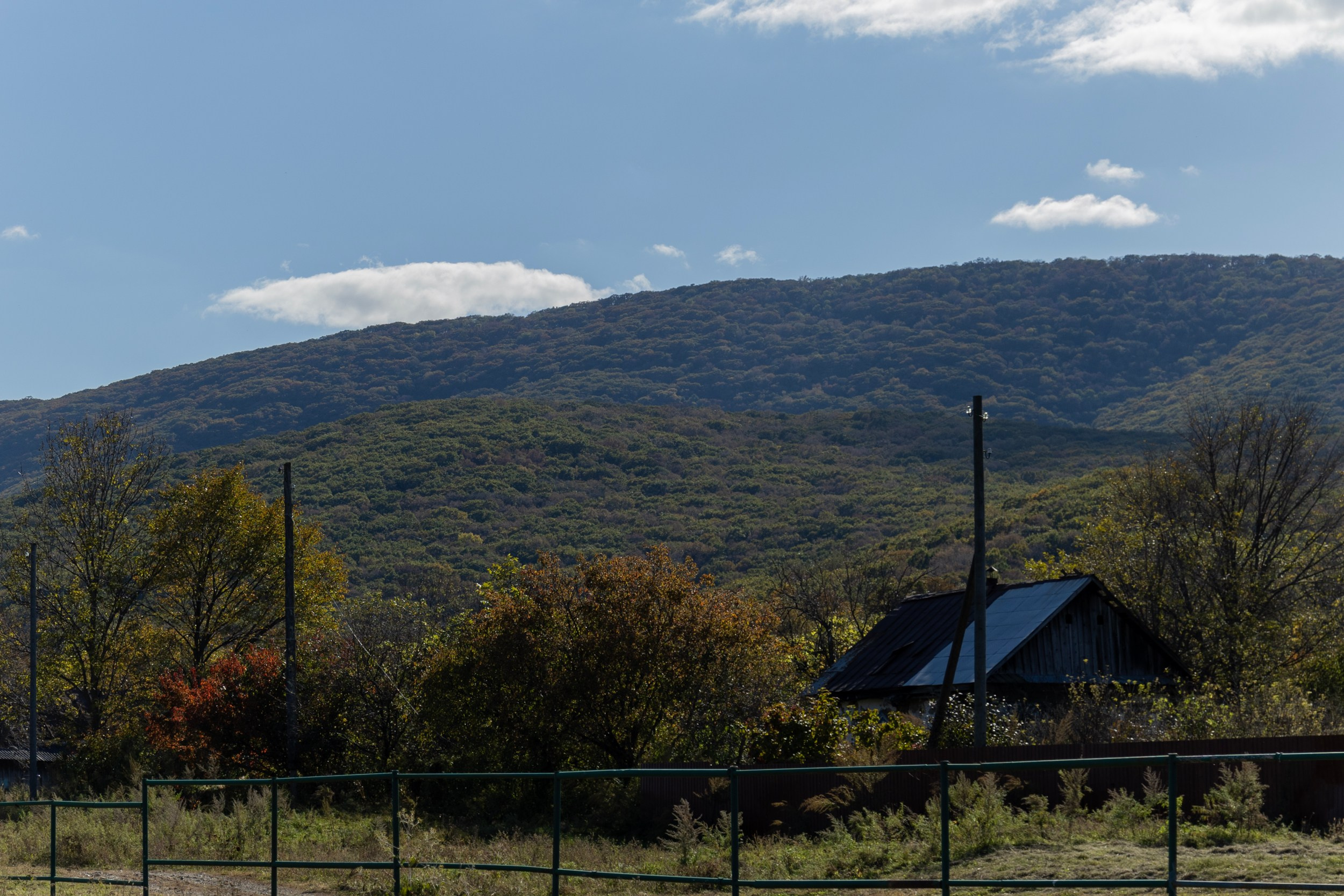 Фестиваль «Большой пикник», репортаж для ASAP Speedcubing. Репортажный и портретный фотограф в Владивостоке