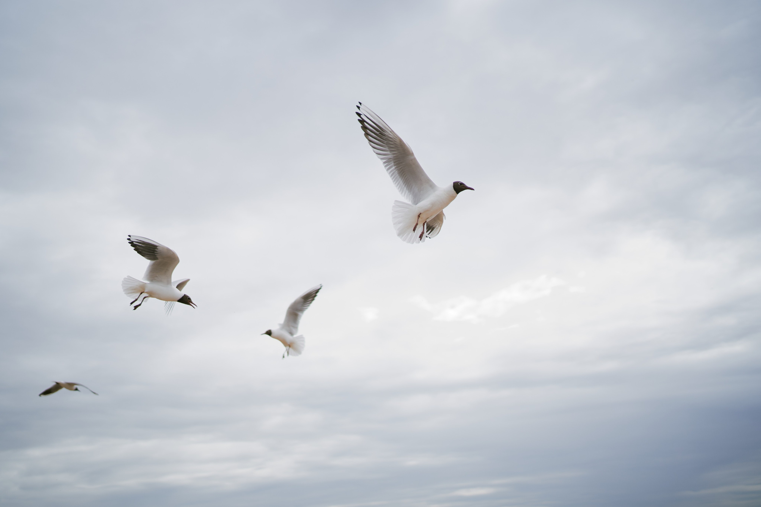 Лена и Сережа. Фотограф в Санкт-Петербурге | Аня Маленчук