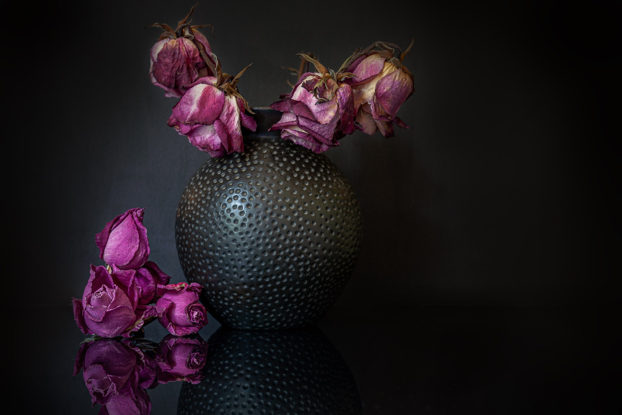 Still life. Мария Абаза, фотограф. Реховот, Израиль