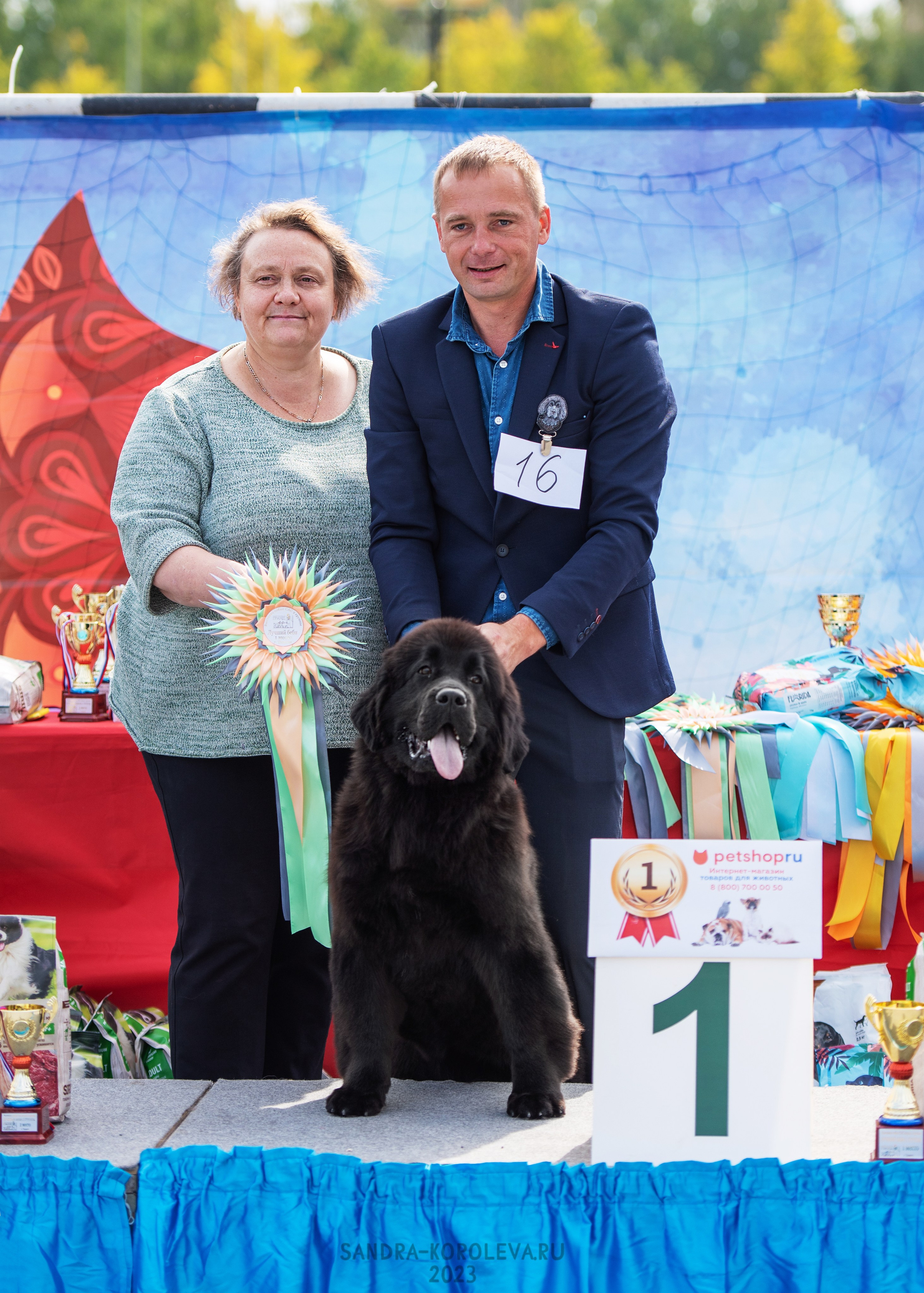Выставка собак Тюмень 02.09.2023. Дог-фотограф в Тюмени Александра Королева