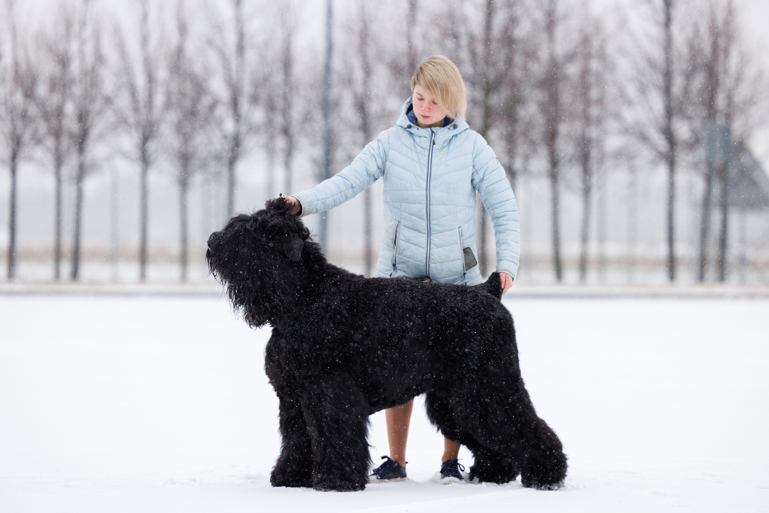 Санкт-Петербург 14.12.2024 ОС. Фотограф-анималист Юлия Германика