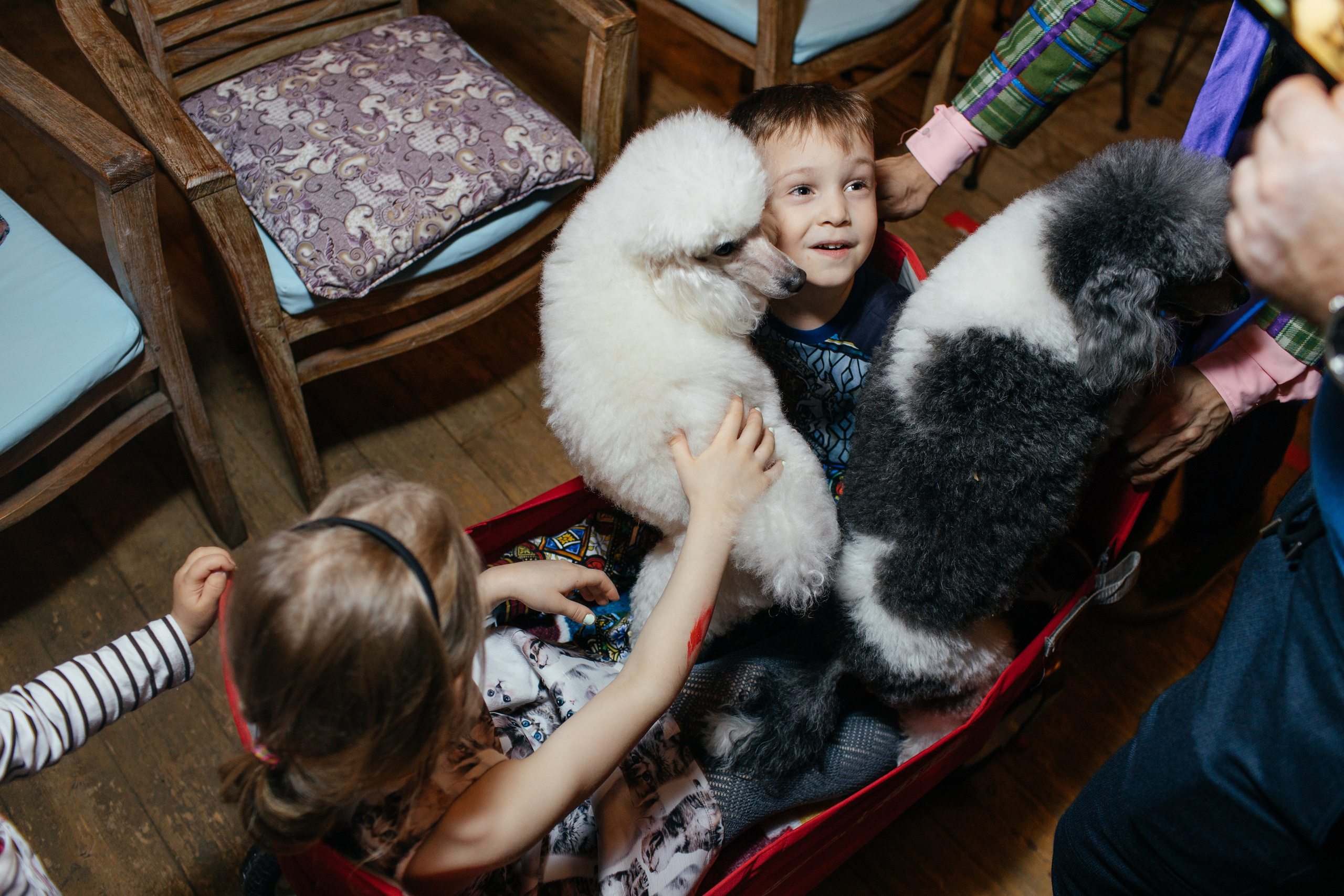 Алине 7 лет. Свадебный и семейный фотограф