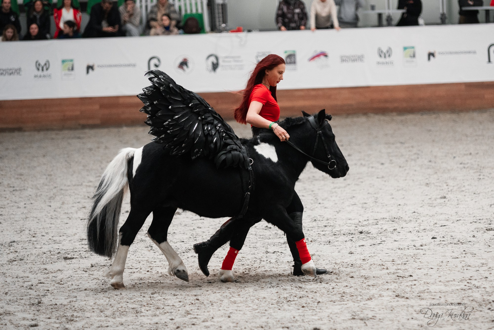 8-я международная выставка Конная Россия. Конный фотограф Куракина Дарья • Фотосессии с лошадьми