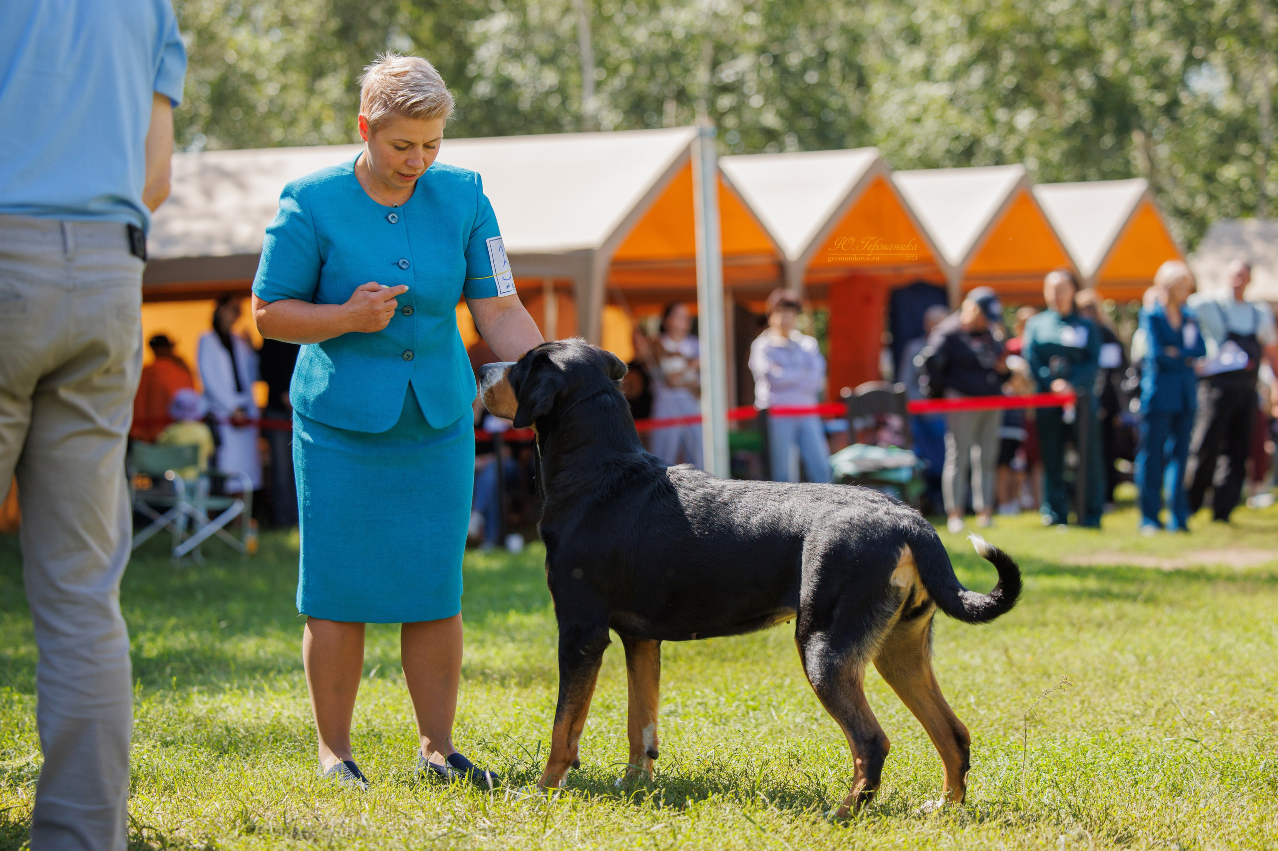 Астана 2хCACIB 17-18.08.2024. Фотограф-анималист Юлия Германика