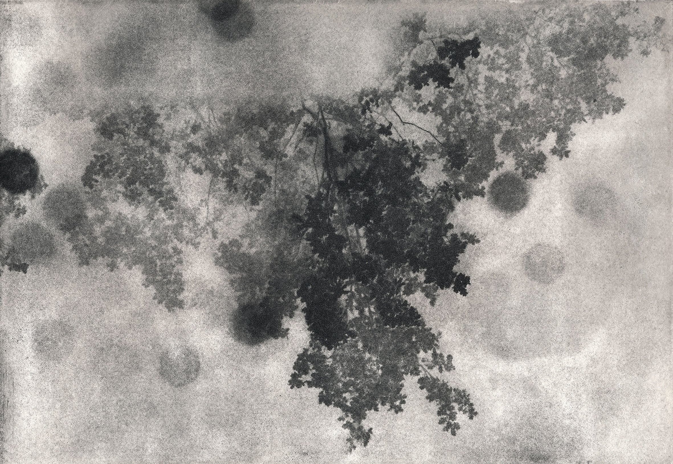 Проект «Black Cloud» Джули ван дер Ваарт. Private image