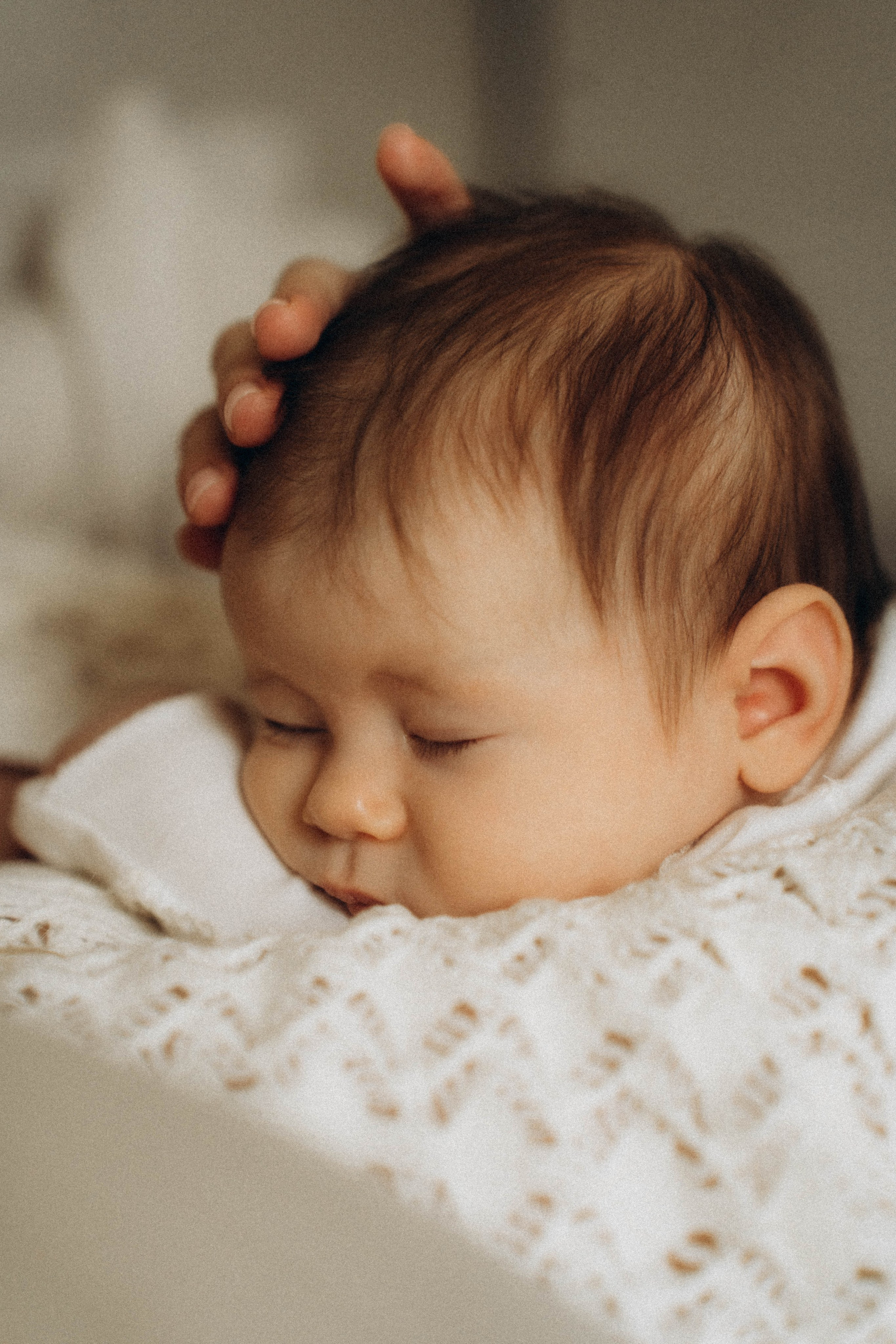 Аврора. Фотограф Москва Селюкова Юлия