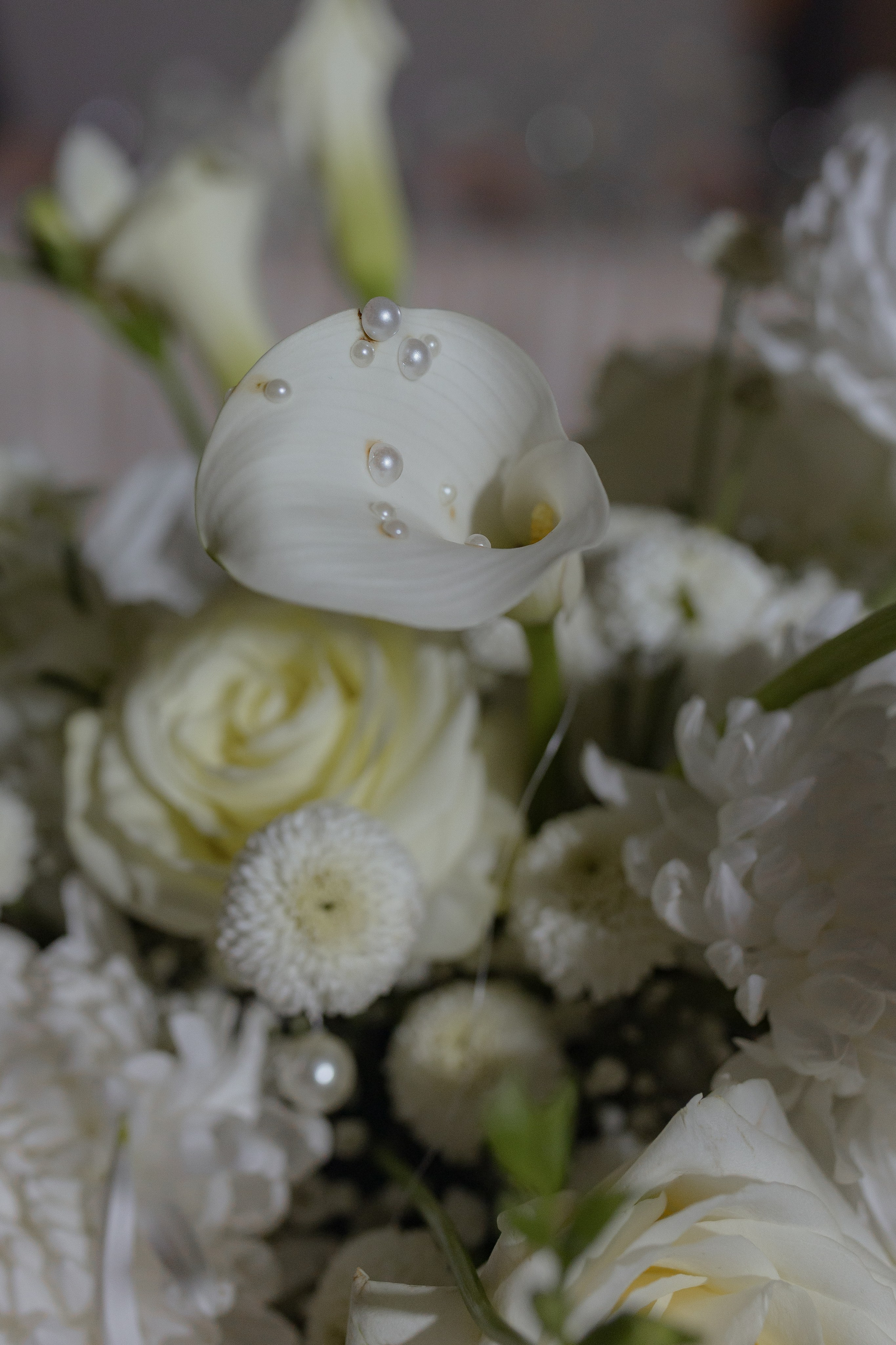 «С днем Рождения, Вика» группа «Корни»