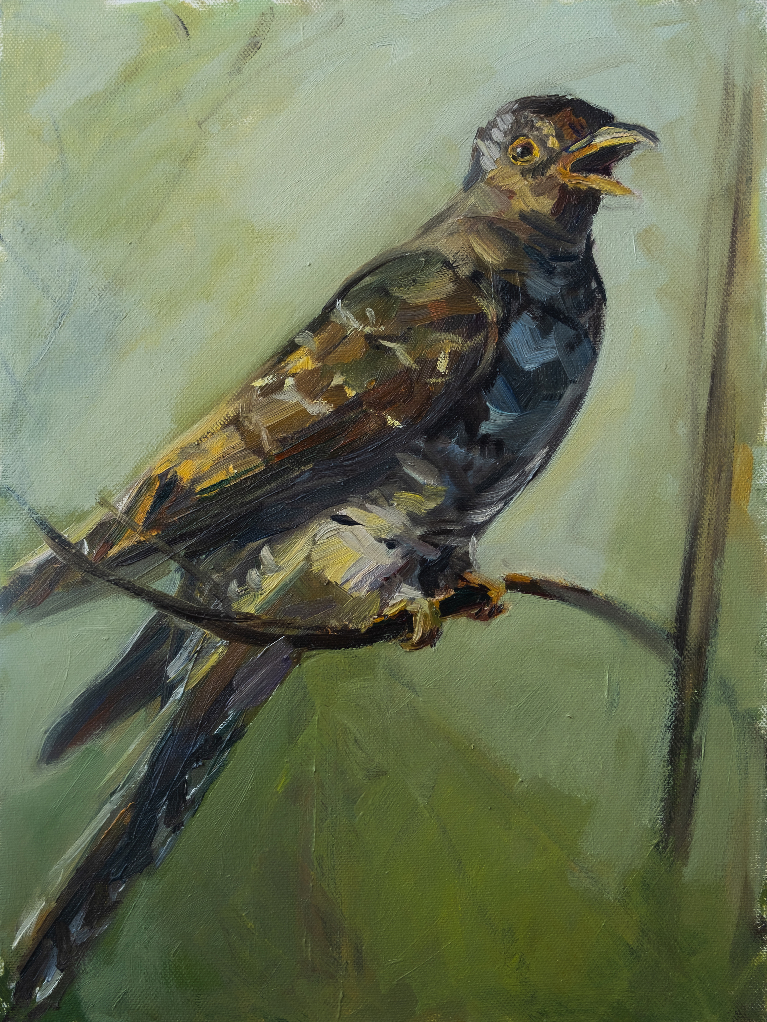 "Кукушка"холст, масло 40х30см, 2019г