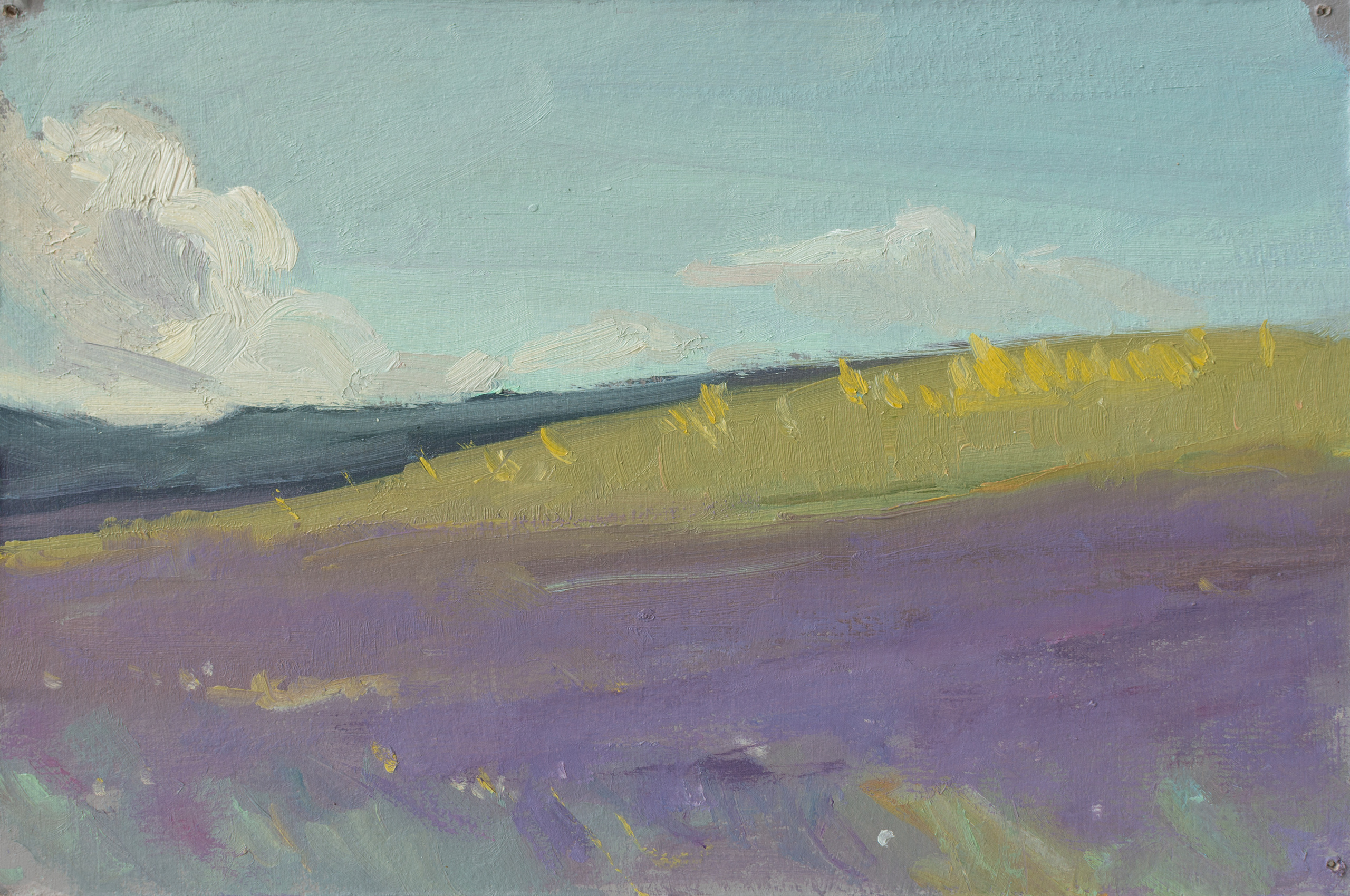 "Этюд.Поле" картон, масло 14х21см, 2023г