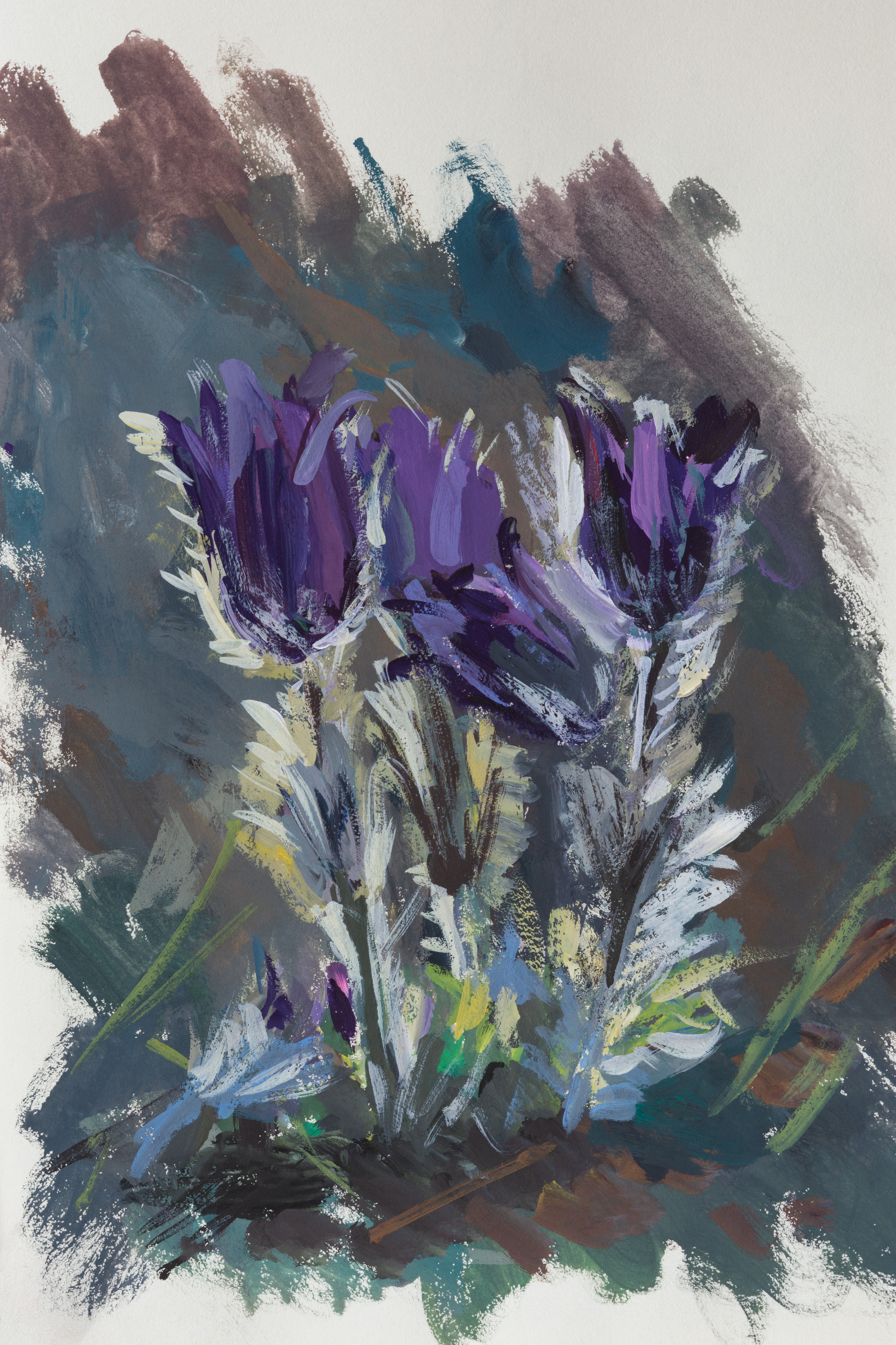 "Сон-трава в апреле" бумага, гуашь 25х18см, 2022г