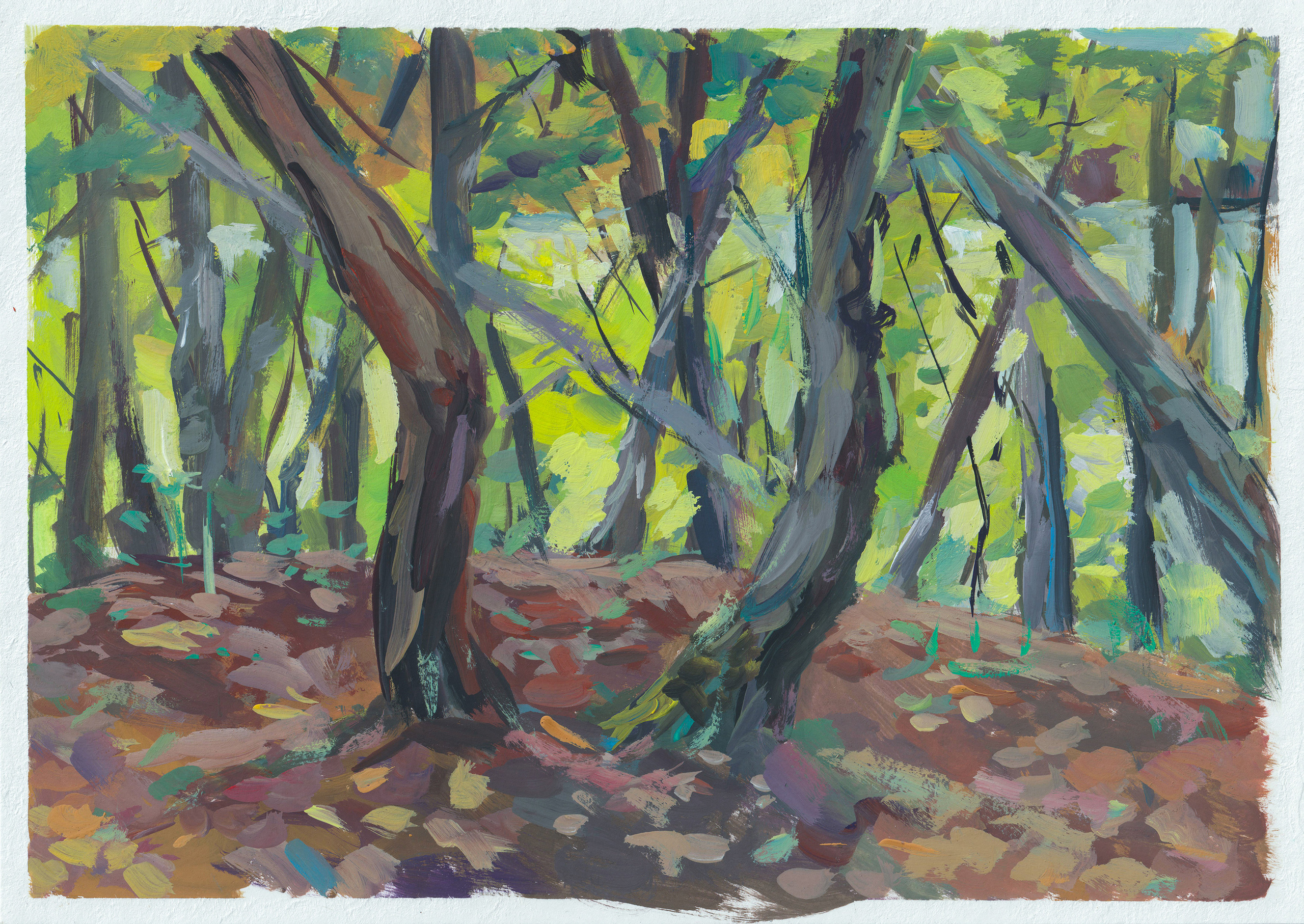 "Буковый лес" бумага, гуашь 21х30см, 2022г