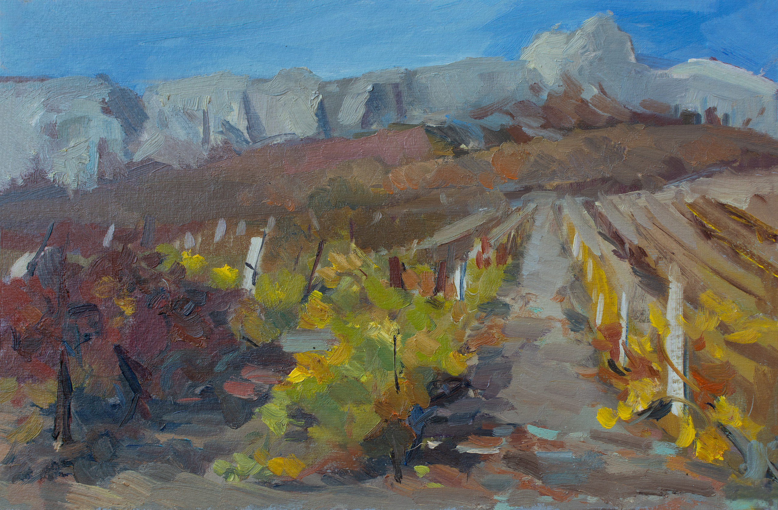 "Этюд. Золотые виноградники" картон, масло 20х30см, 2022г