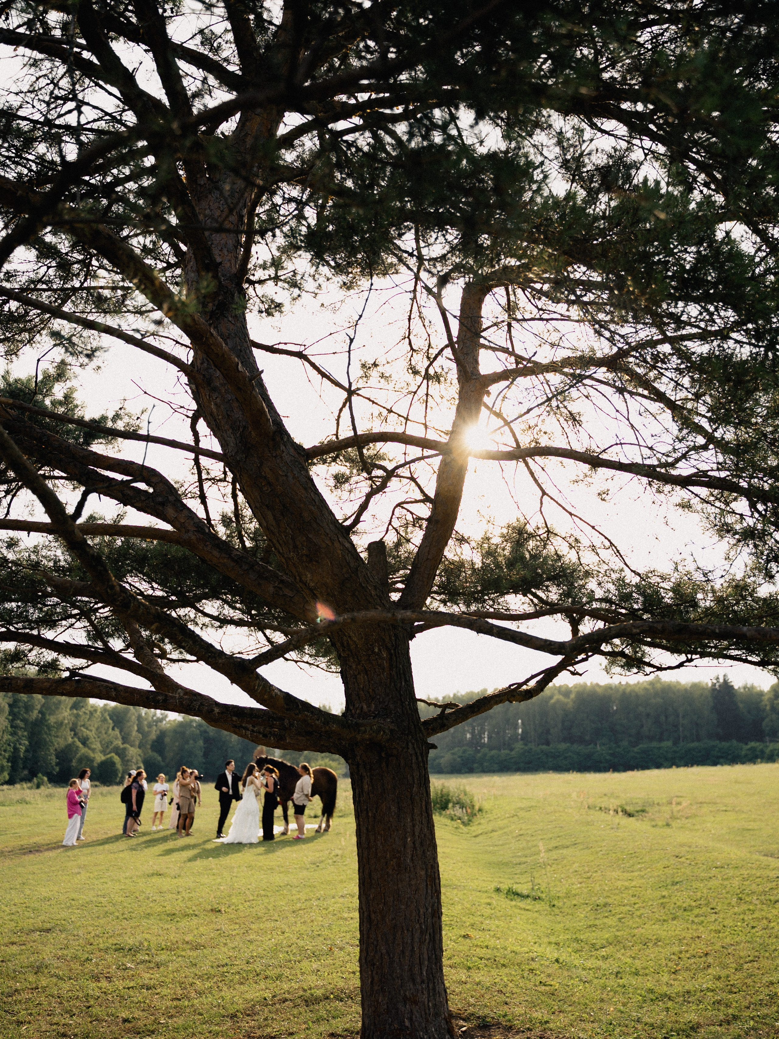 Тая и Артур. Кантри клаб Поляна. Свадебный фотограф Колотовкина Валентина Москва