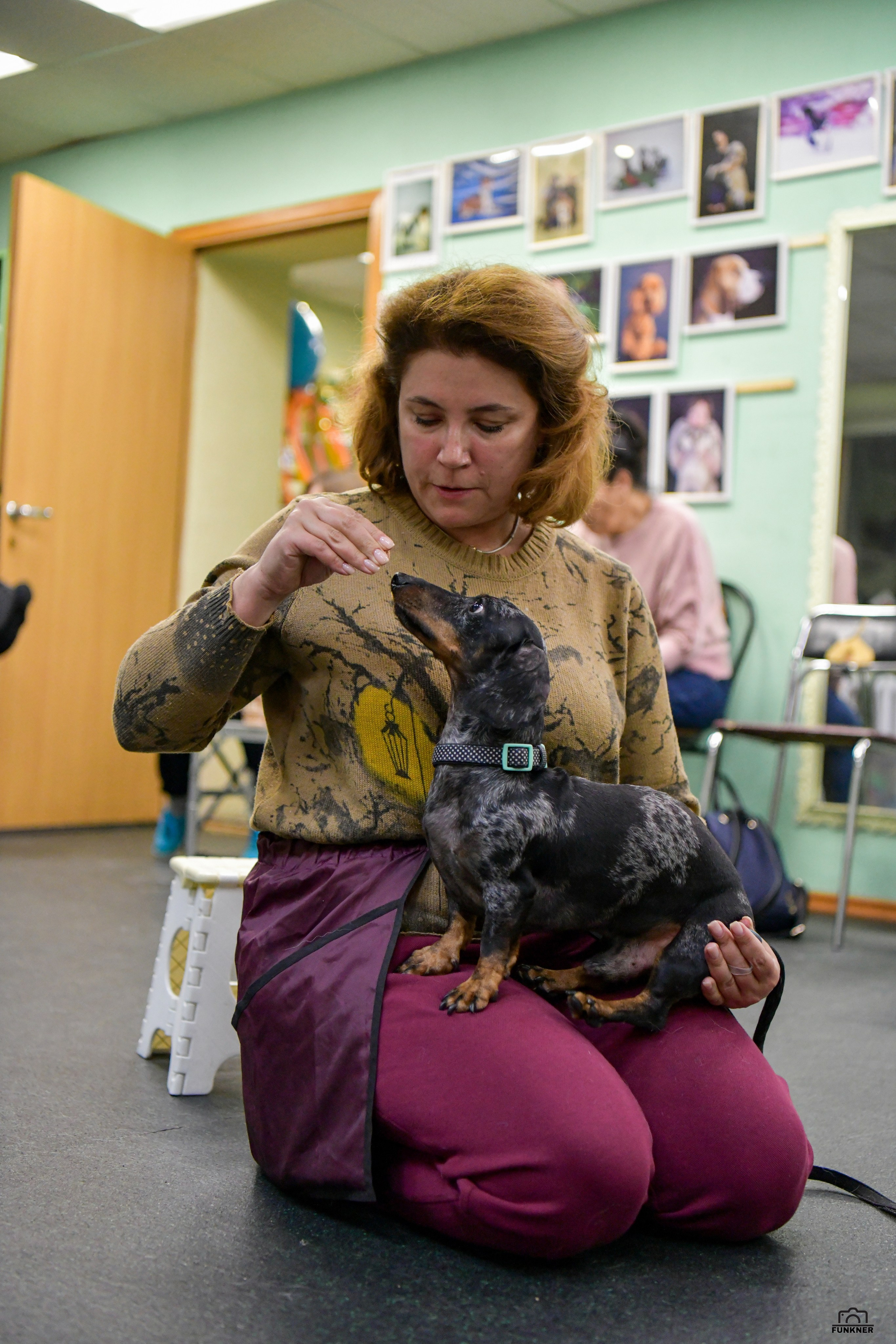 Кинологический клуб «Бодрый хвост». Свой взгляд через объектив