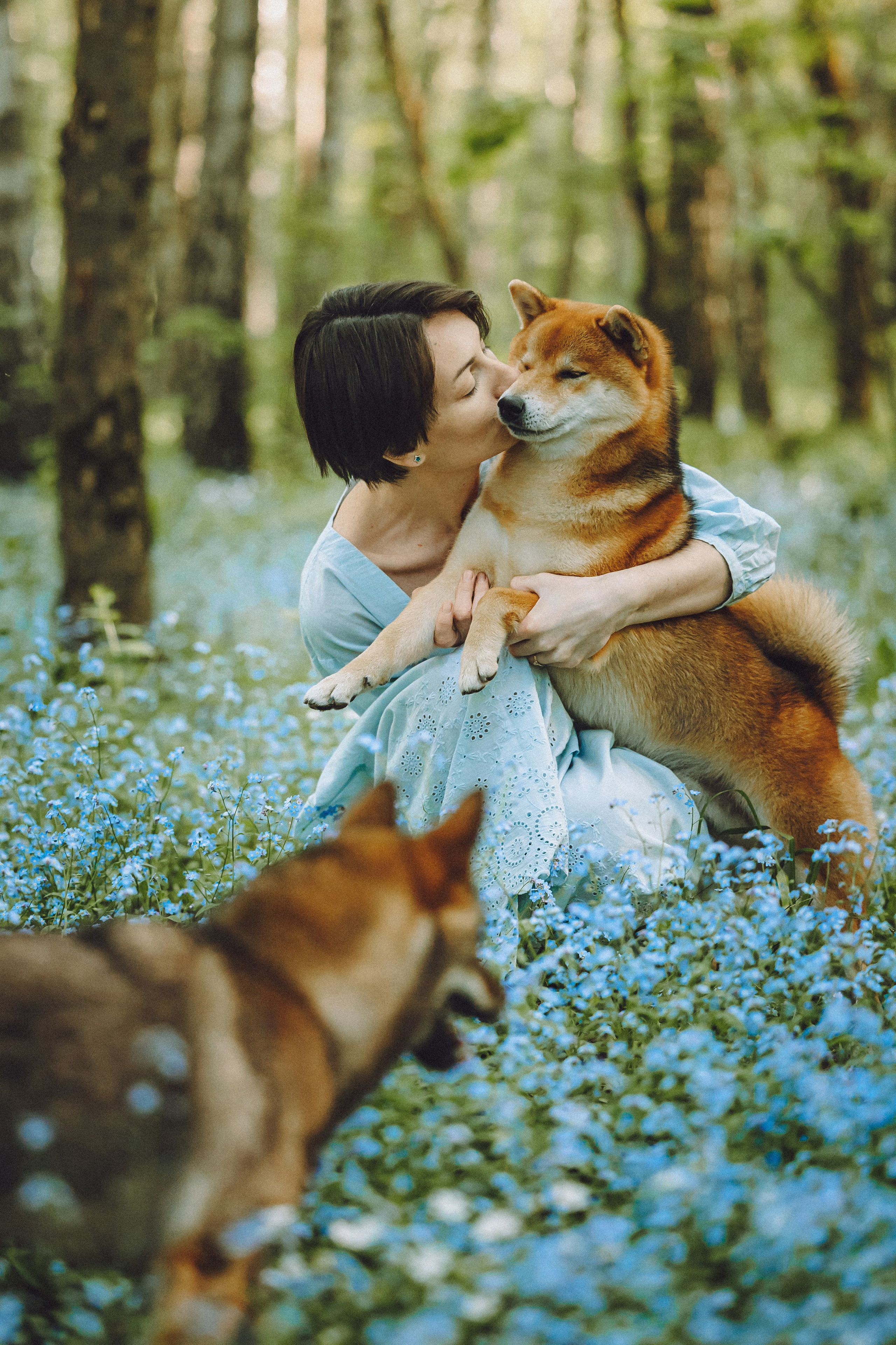 Шед, Цири, Чиби, Цера и их семья