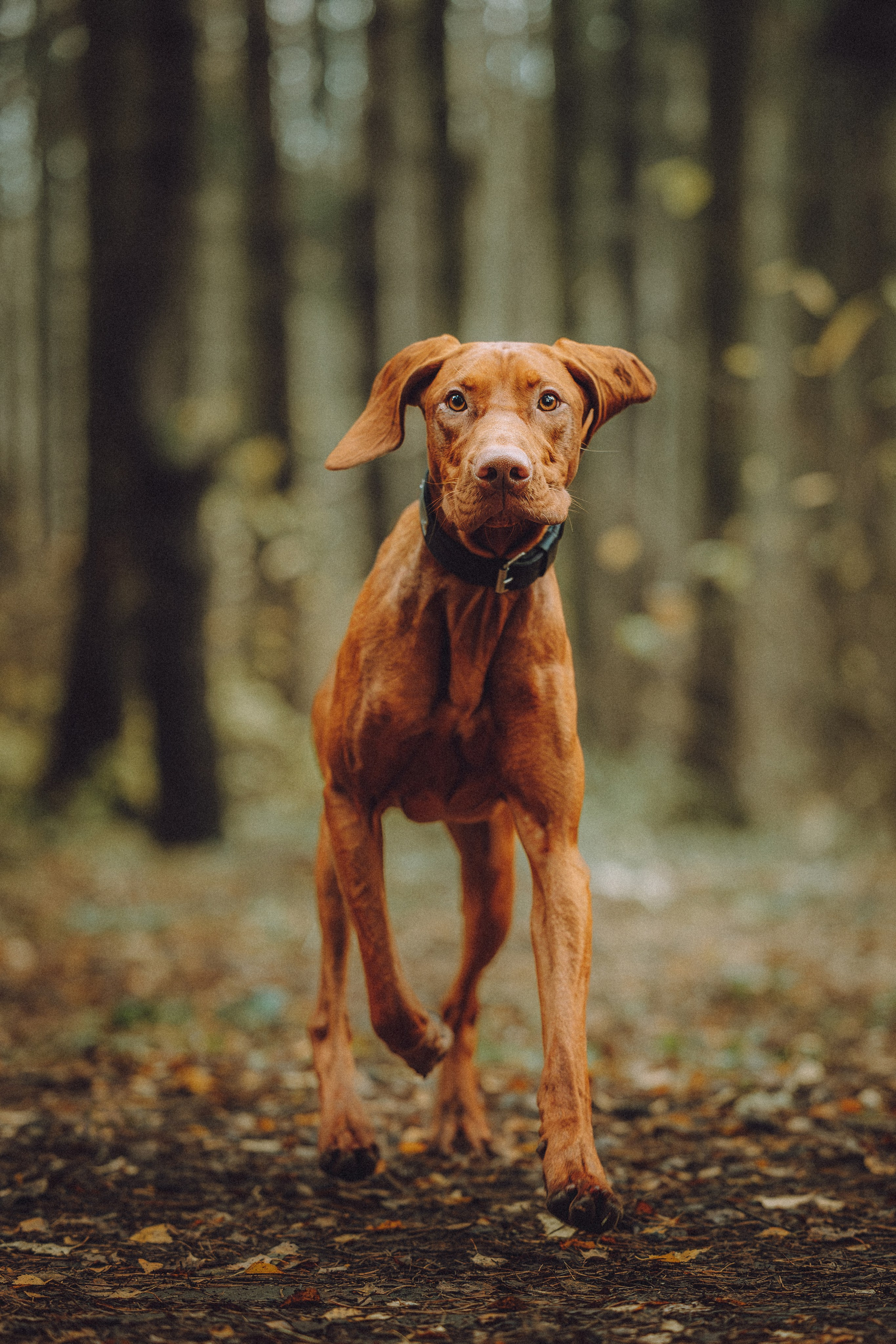 Дориан и его семья