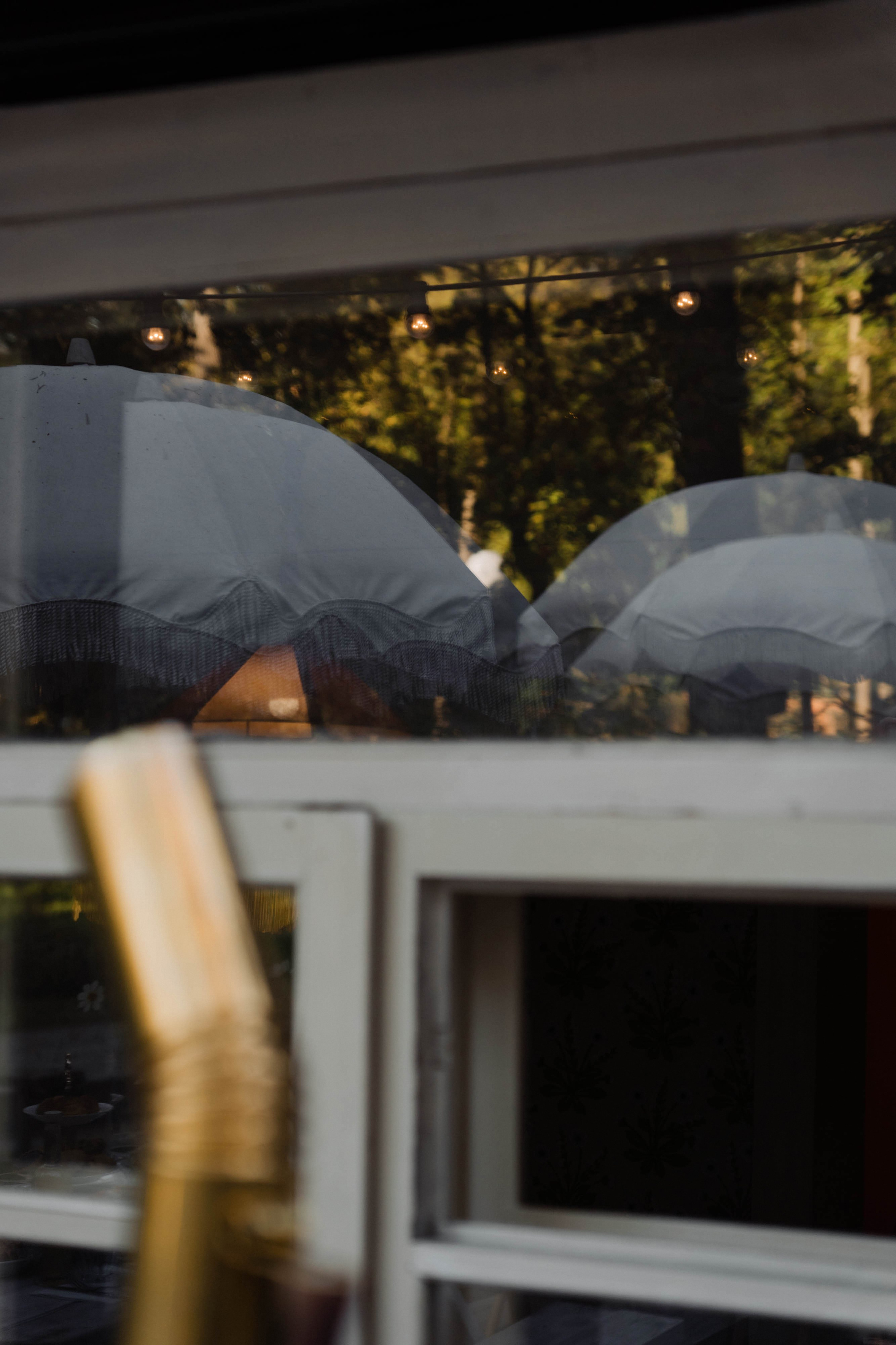 Встреча в «Робине» Переделкино. ФОТОГРАФ КСЕНИЯ СОСНОВСКАЯ